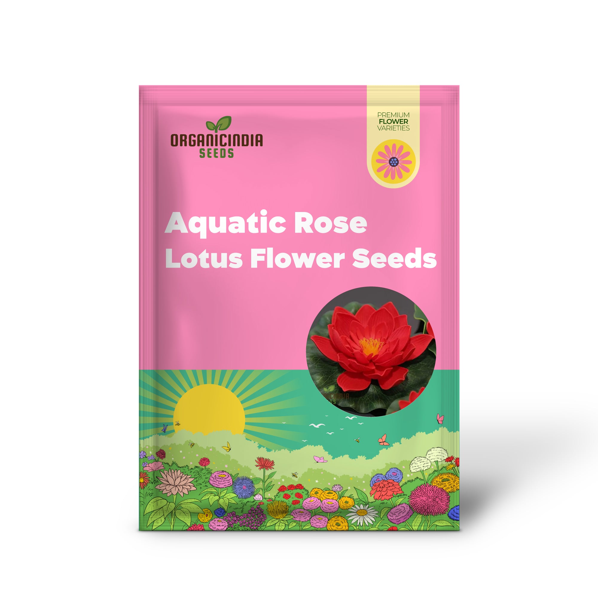 Exotic Aquatic Rose Red Lotus Flower Seeds for Home Aquatic Garden - Planting, Gardening, Aquatic Plants, Seeds