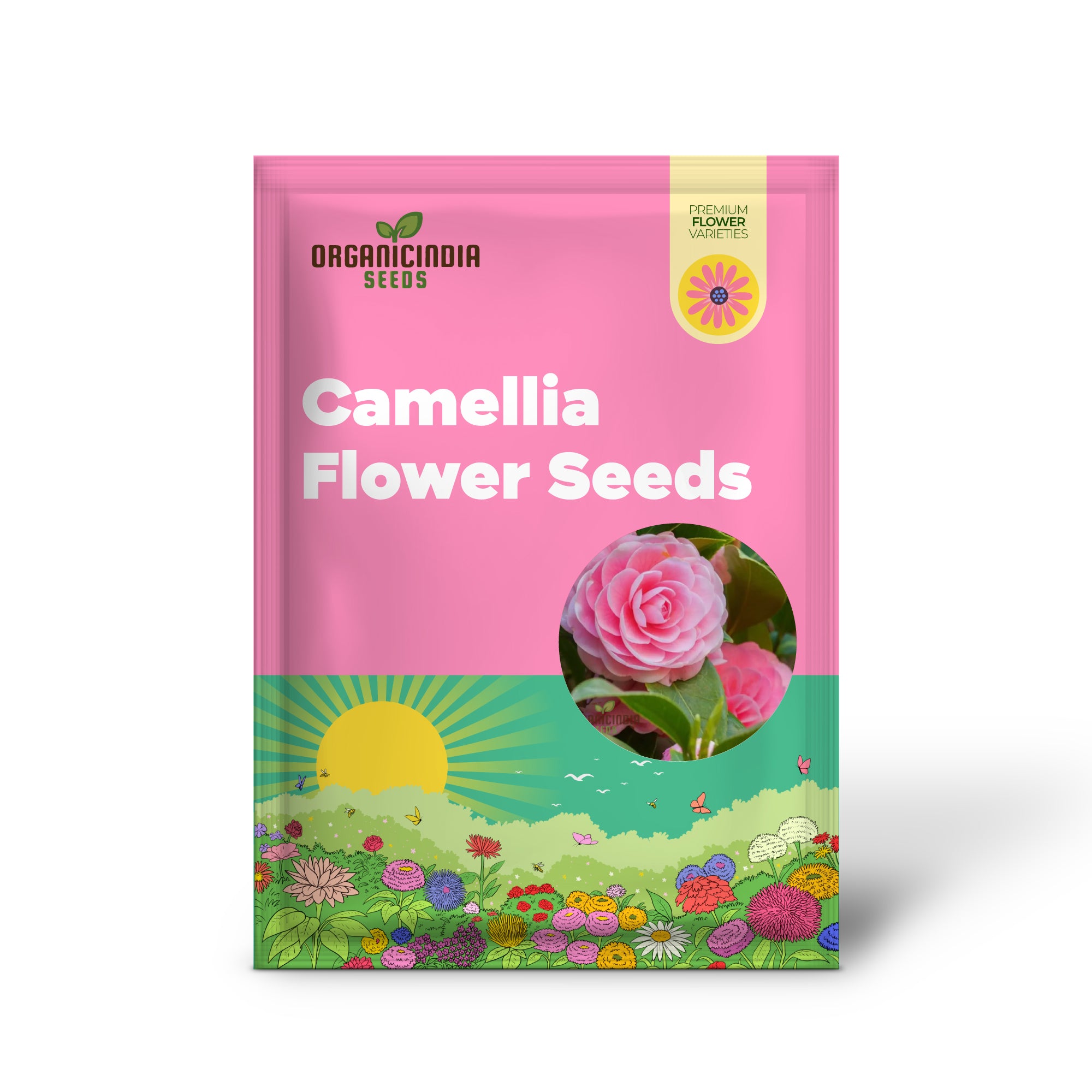 Graines de fleurs de camélia rose à planter, fleurs exquises pour votre jardin, graines de jardinage de qualité supérieure