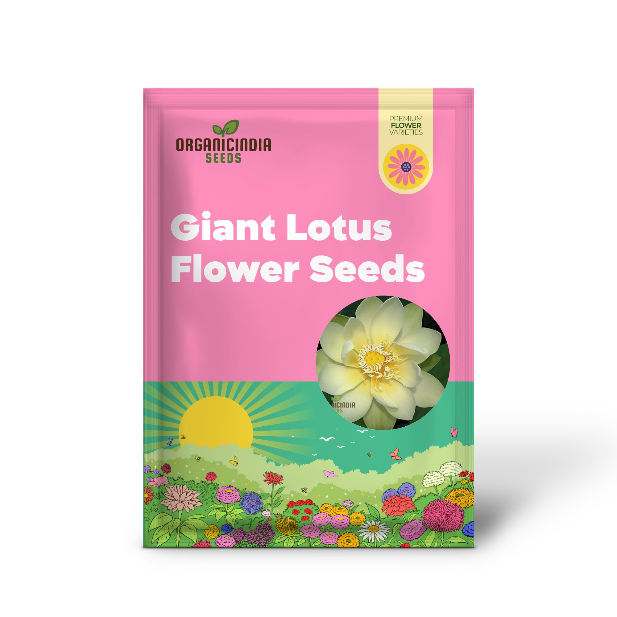 Giant Sunburst Lotus Flower Seeds for Planting, High-Quality Seeds for Stunning Garden Blooms