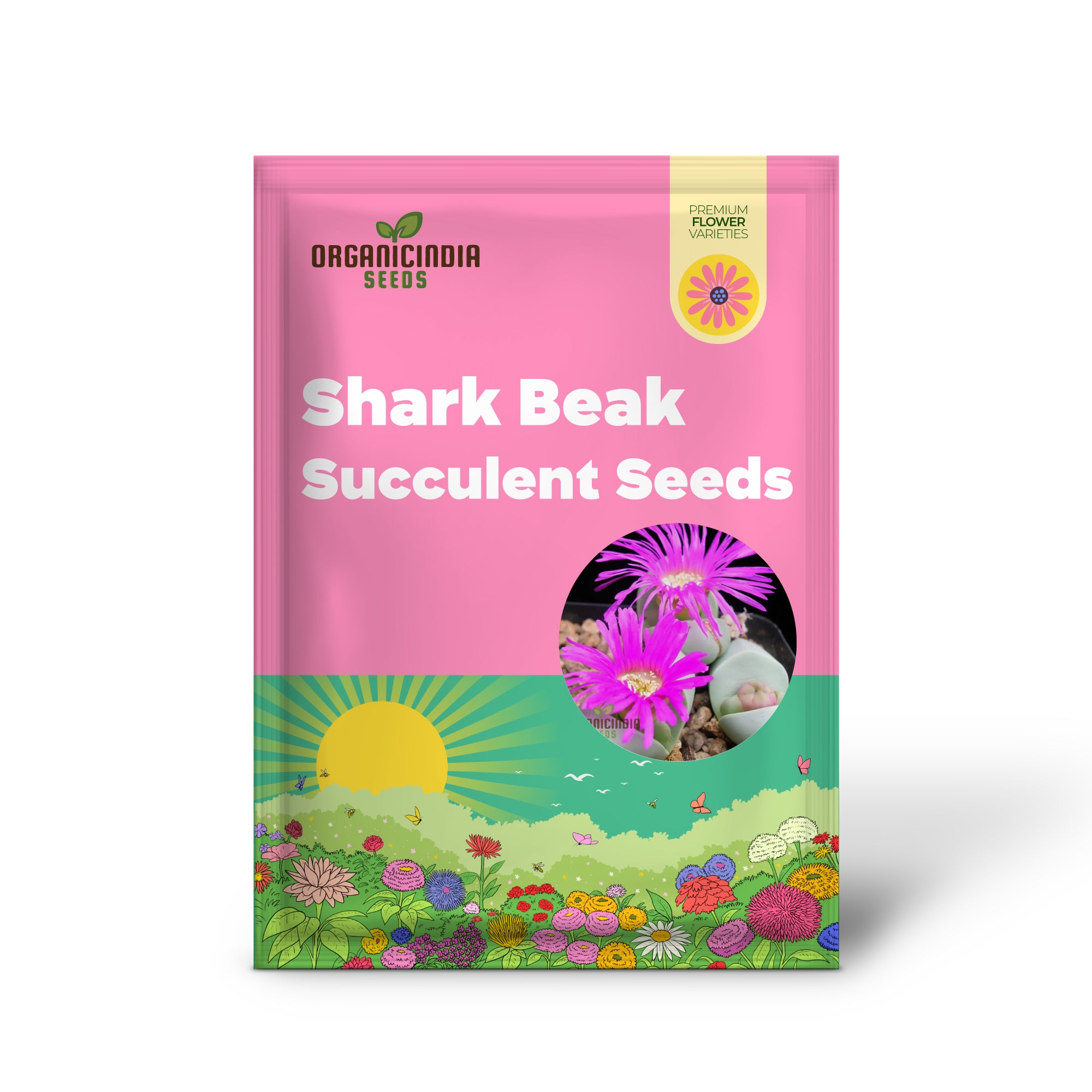 Shark Beak Succulent Seeds - All Seasons Pink Succulent Seeds for Indoor & Outdoor Gardening, Grow Beautiful Succulents from Seeds, Premium Quality Seeds