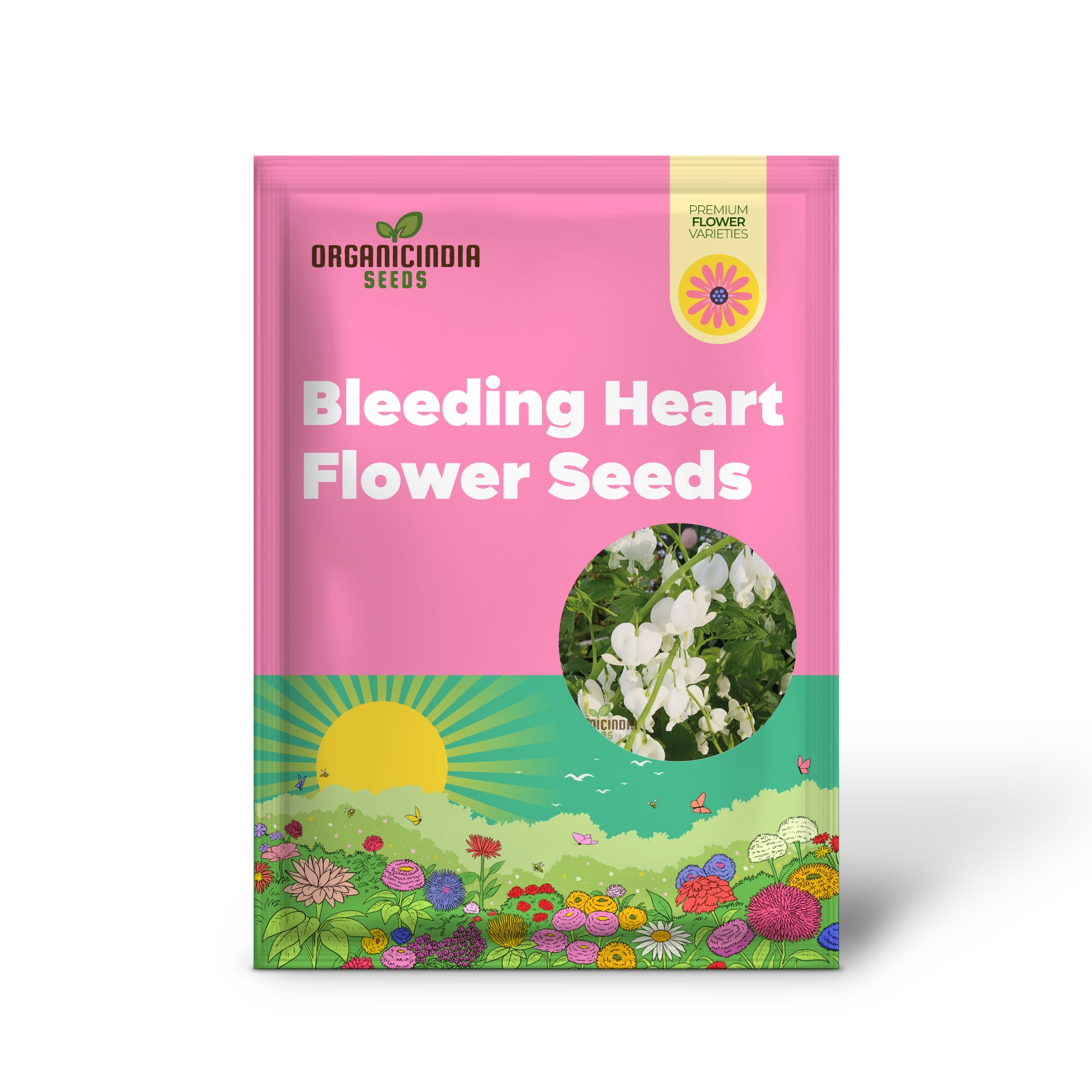 White Bleeding Heart Flower Seeds for Planting, Premium Gardening Seeds for Beautiful Blooms