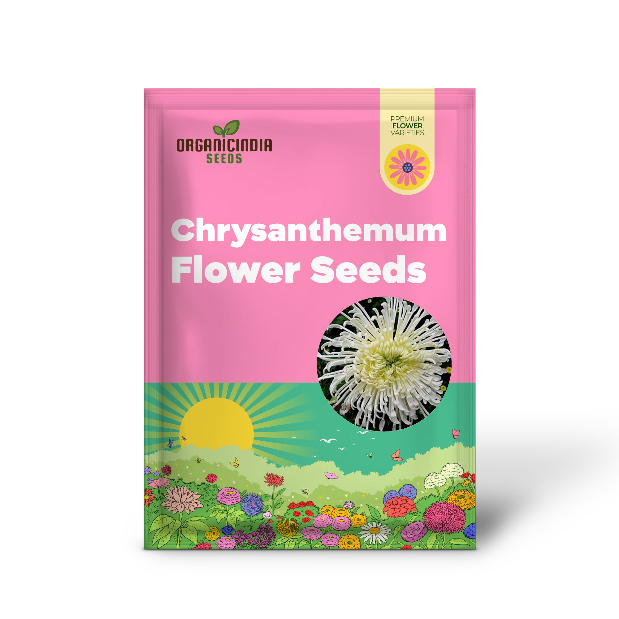 Graines de fleurs de chrysanthème semi-bonsaï à planter 100 pièces