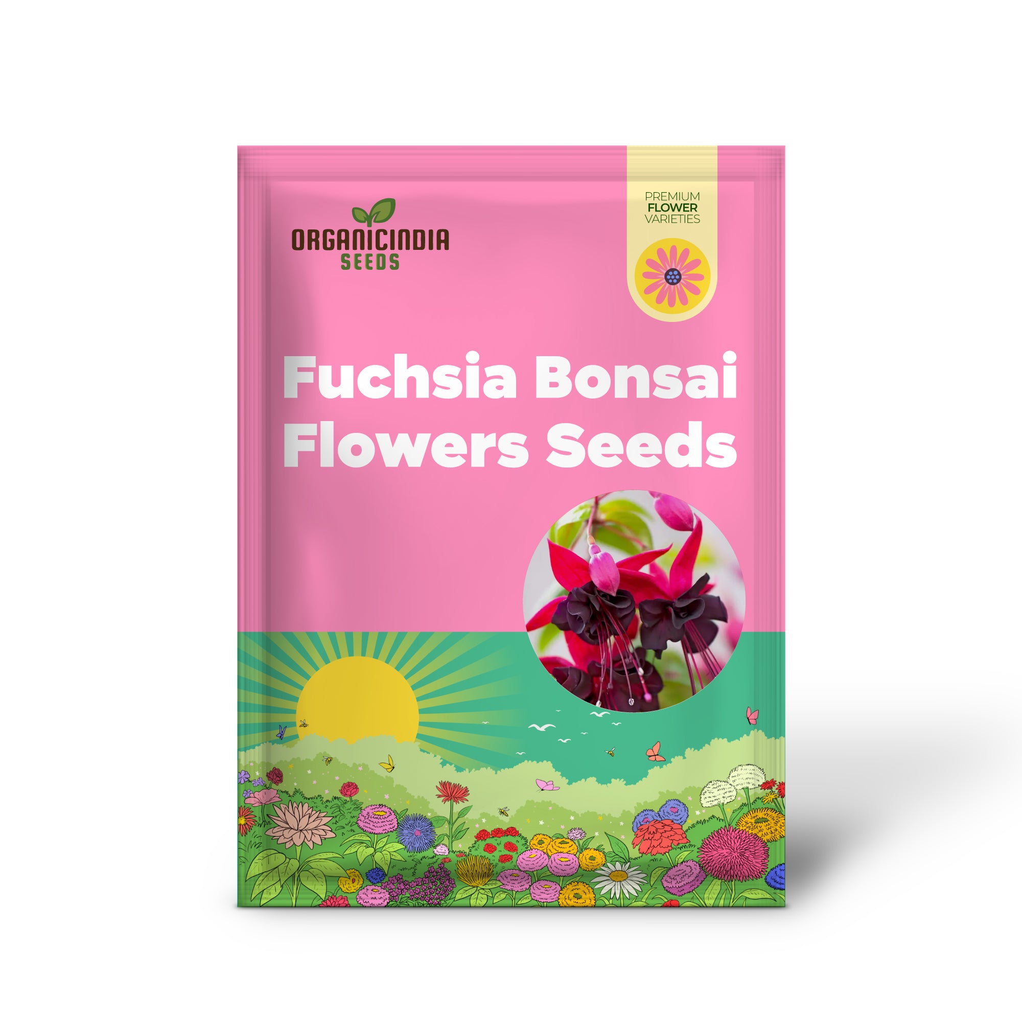 Graines de fleurs de bonsaï fuchsia à double pétale de Viola pour la plantation 100 pièces