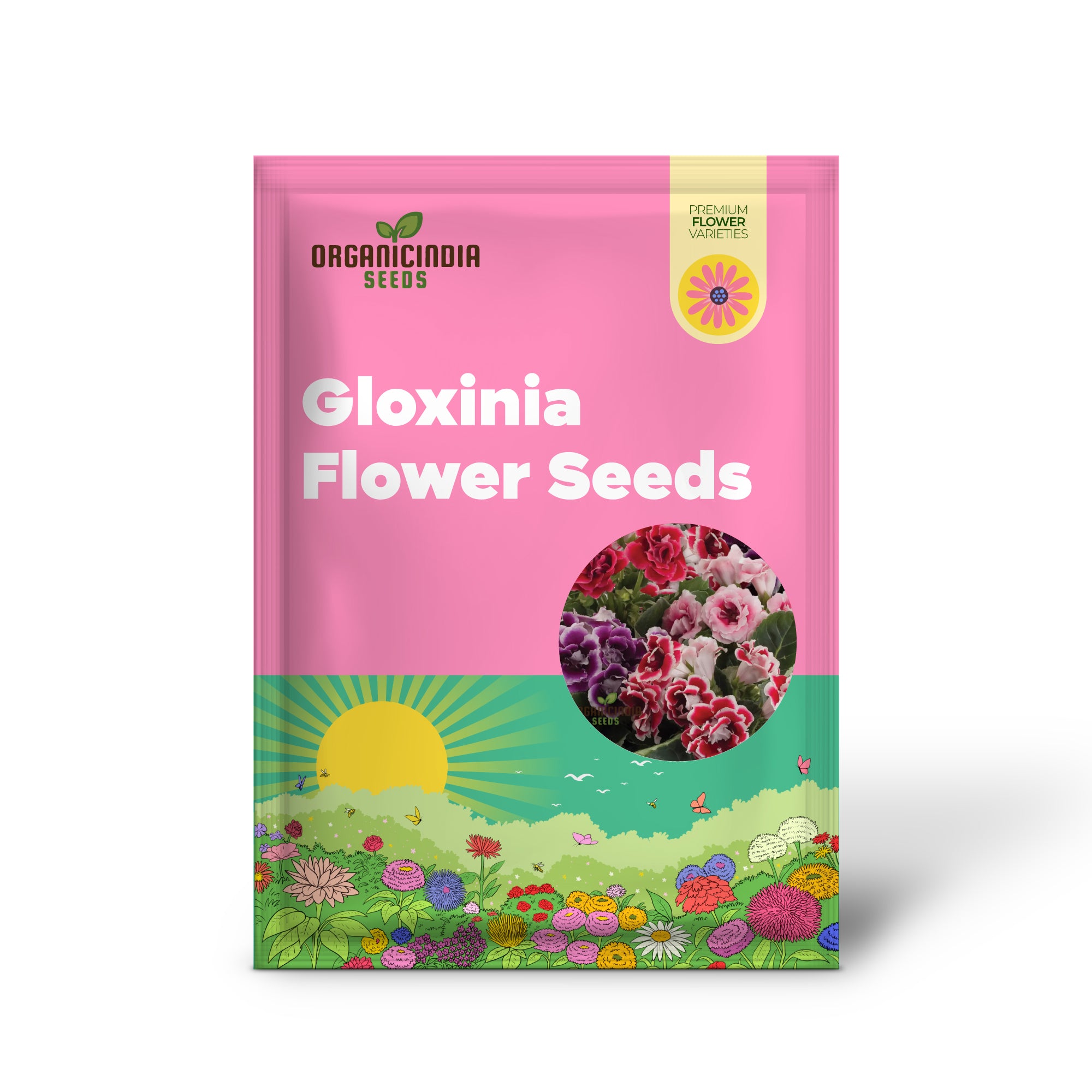 Gloxinia Flower Seeds for Planting - Splendid Indoor Plant (100 pcs)