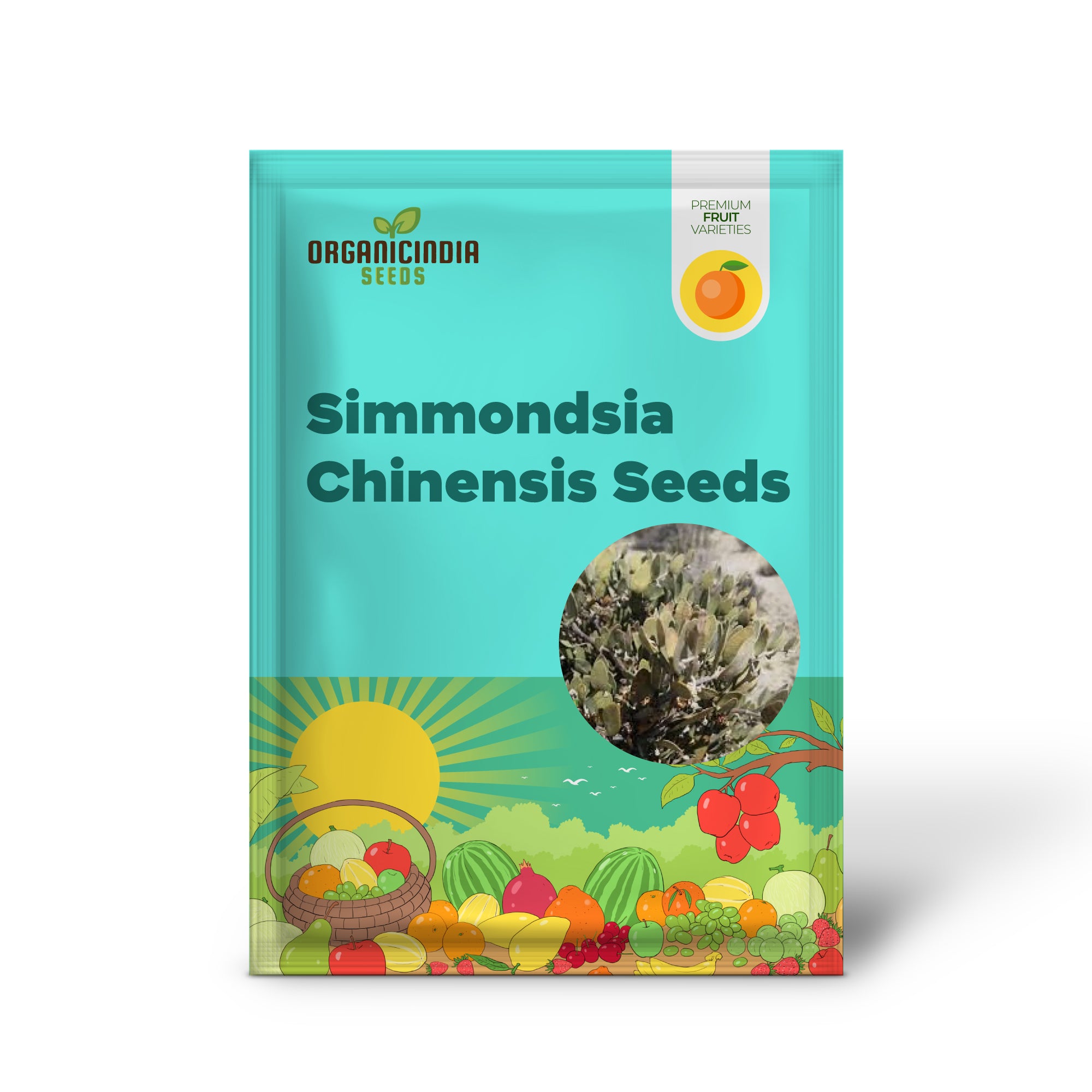 Simmondsia Chinensis Seeds - Fruit Planting