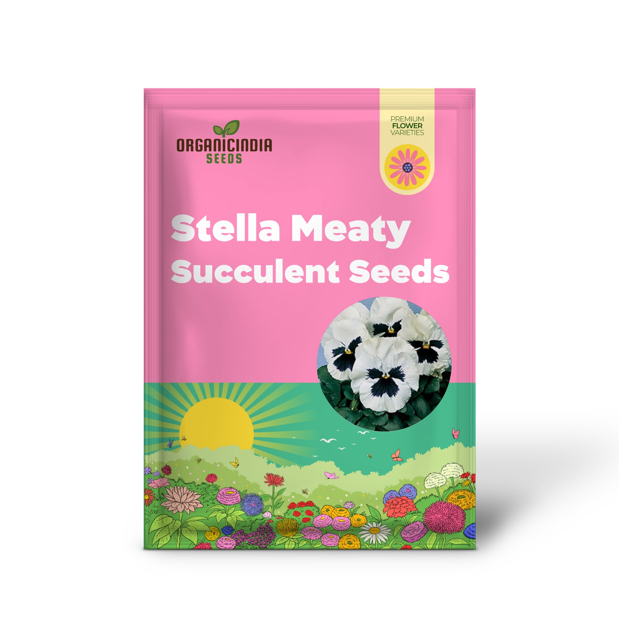 Stella Meaty Succulent Seeds for Planting - 100 pcs