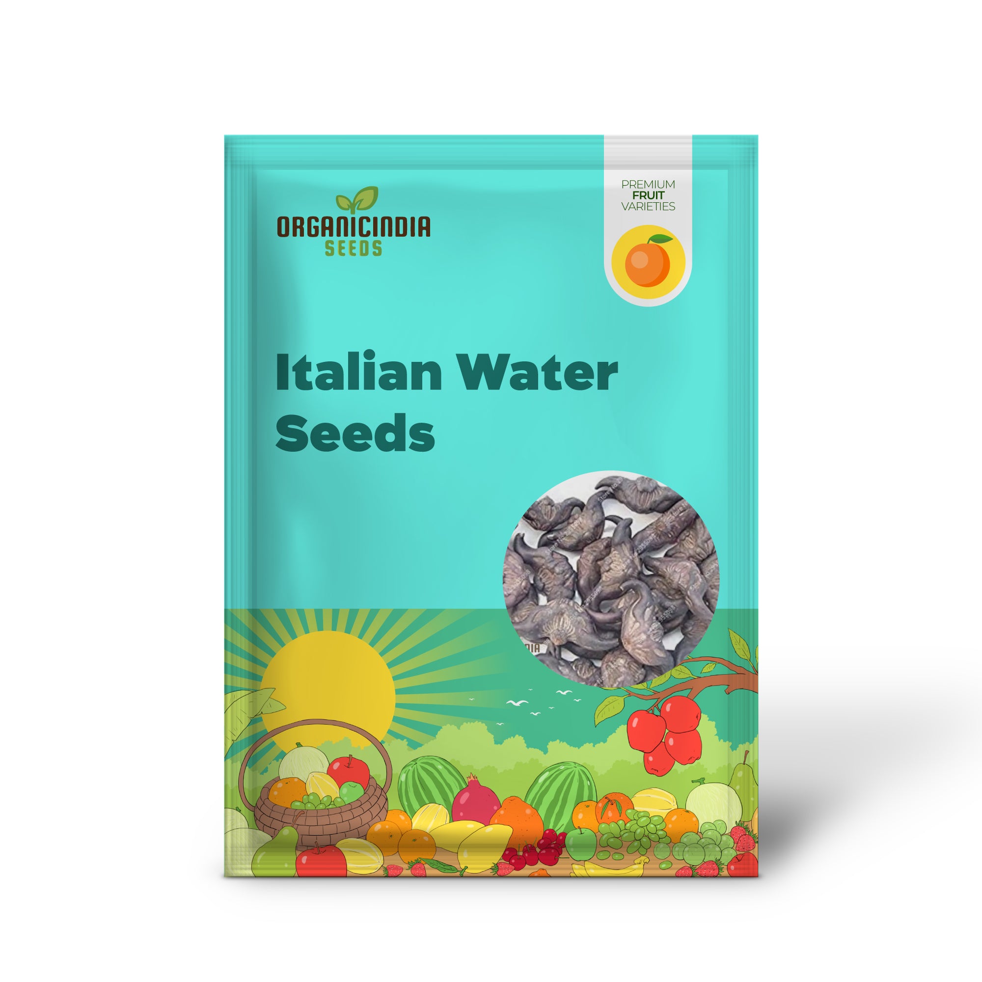 Italian Water Vegetable Seeds, Planting