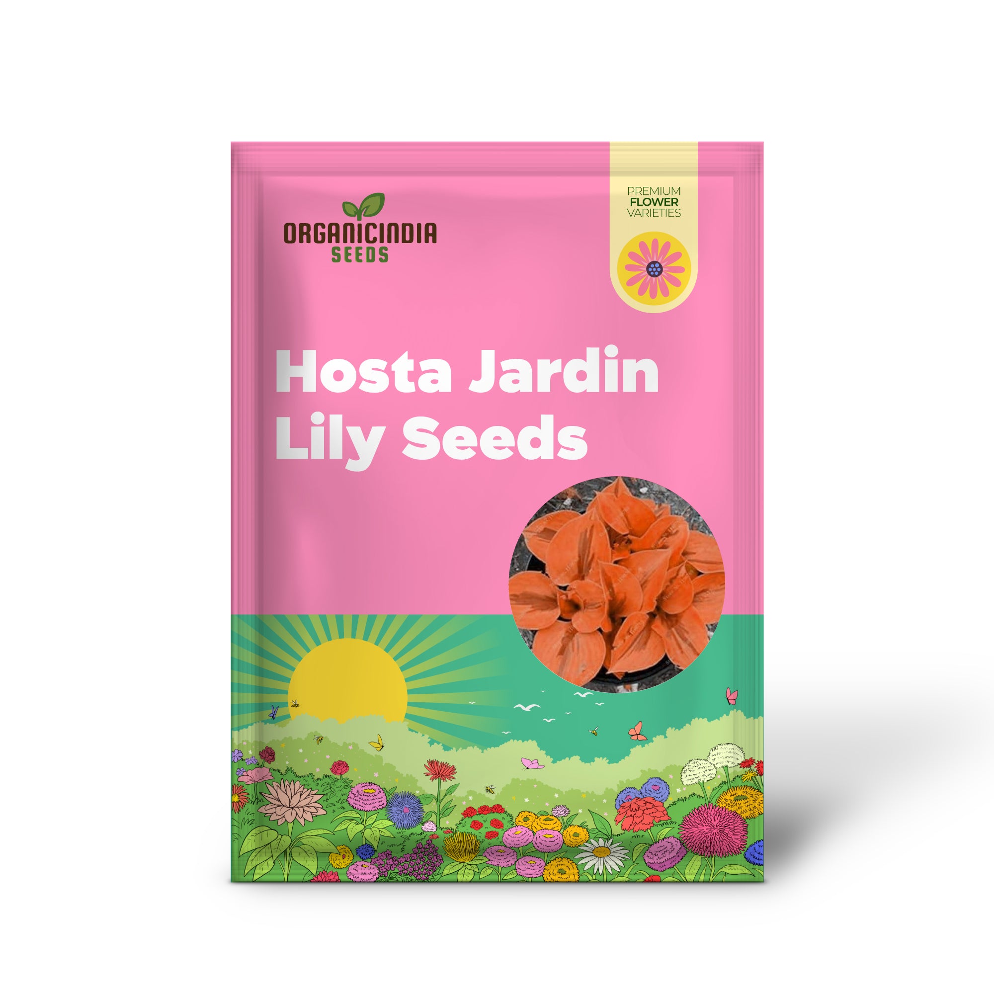 Hosta Jardin Perennials Lily Seeds for Planting