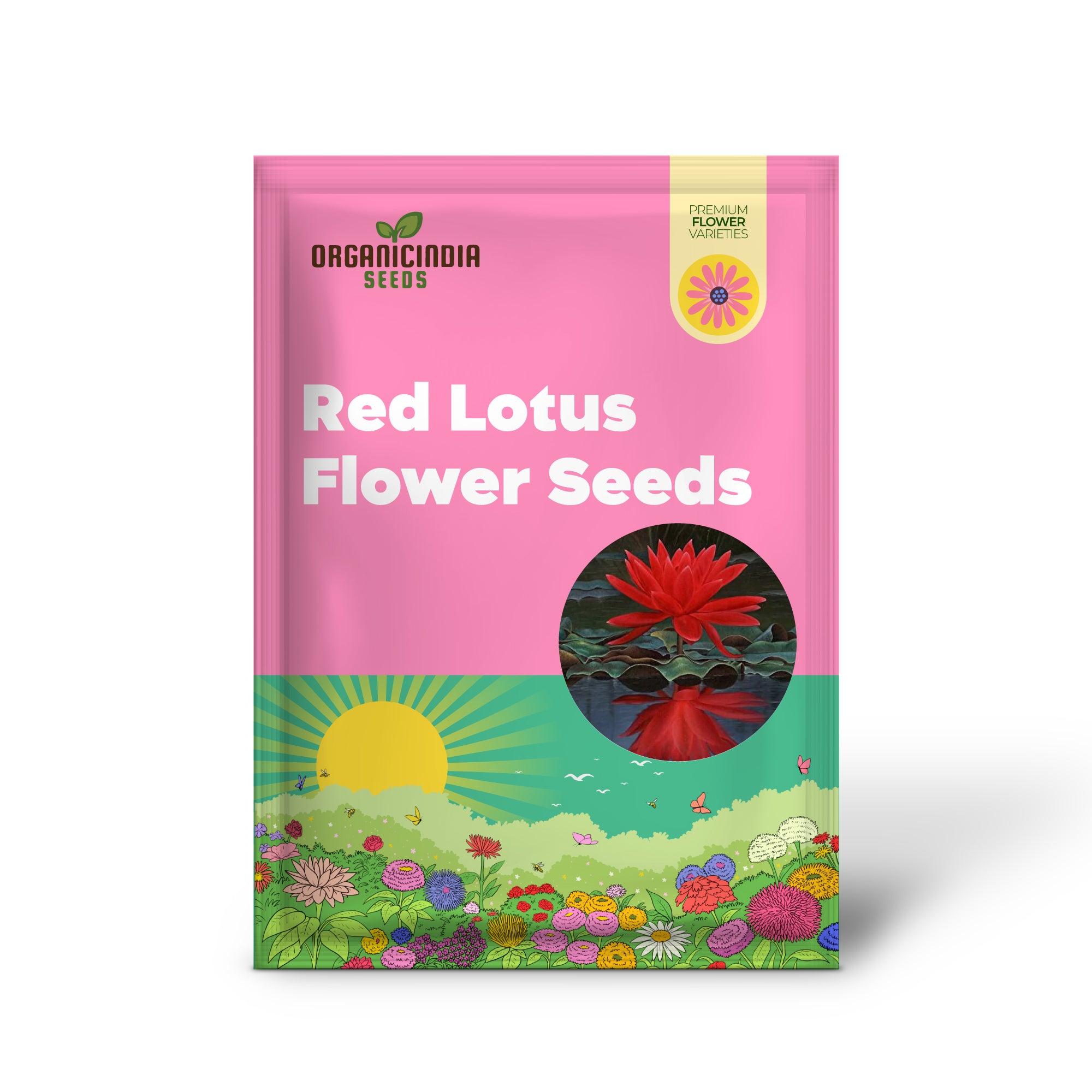 Red Lotus Flower Seeds for Planting