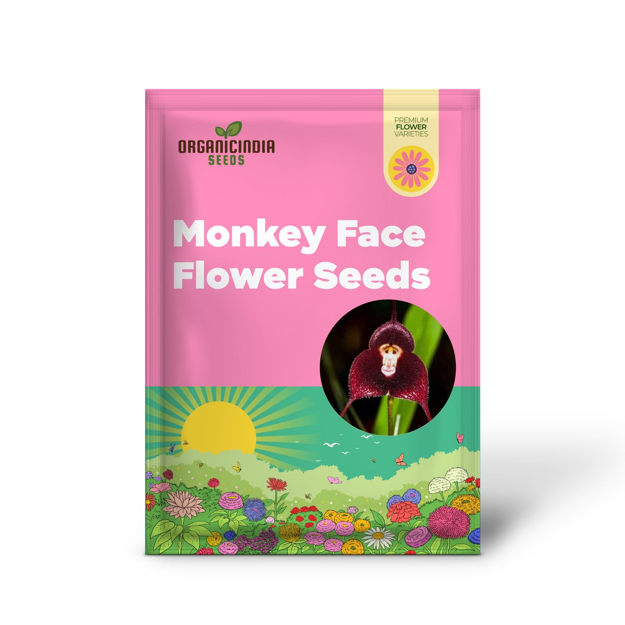 Monkey Face Orchid Flower Seeds for Planting