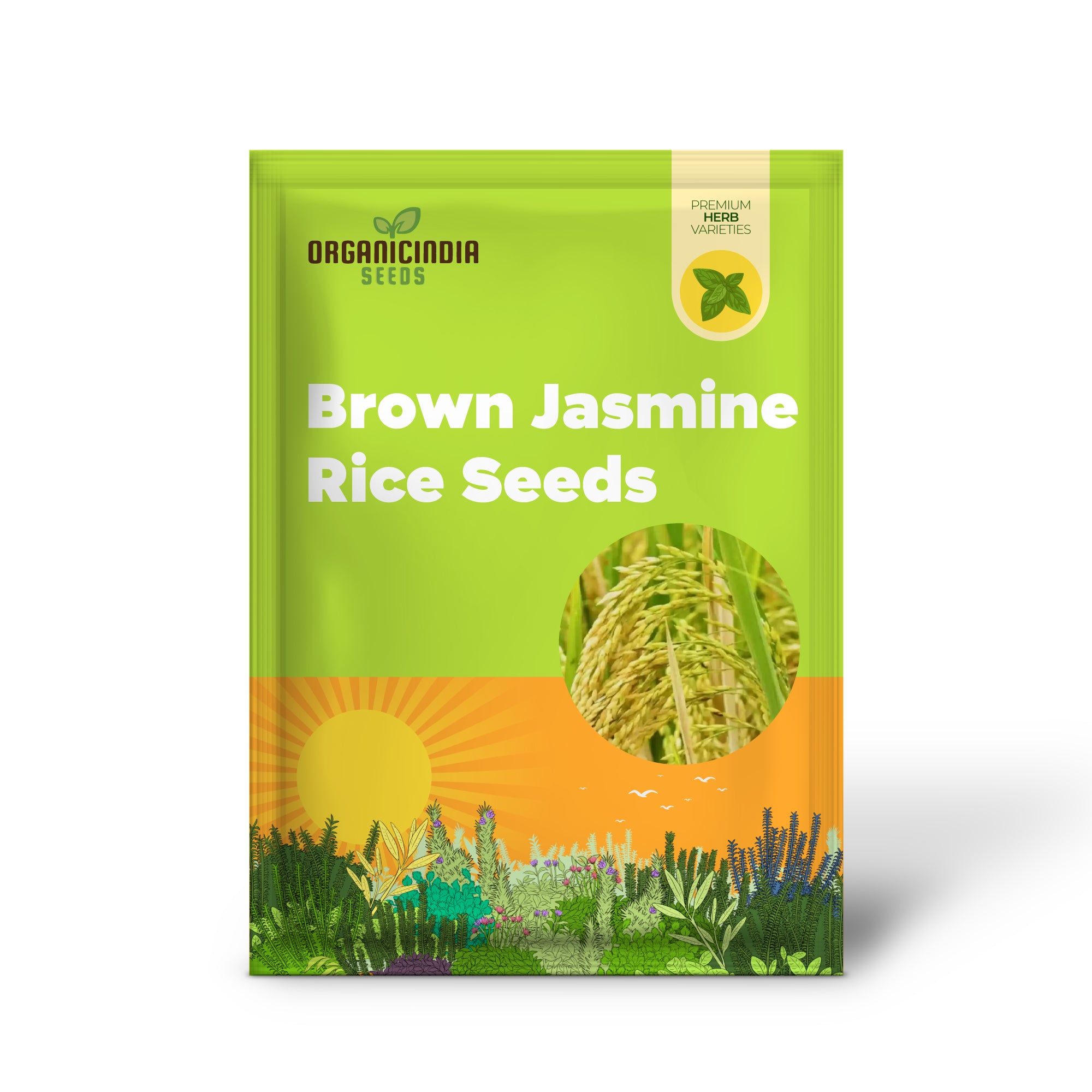 Brown Jasmine Rice Seeds,Vegetable Seeds for Planting