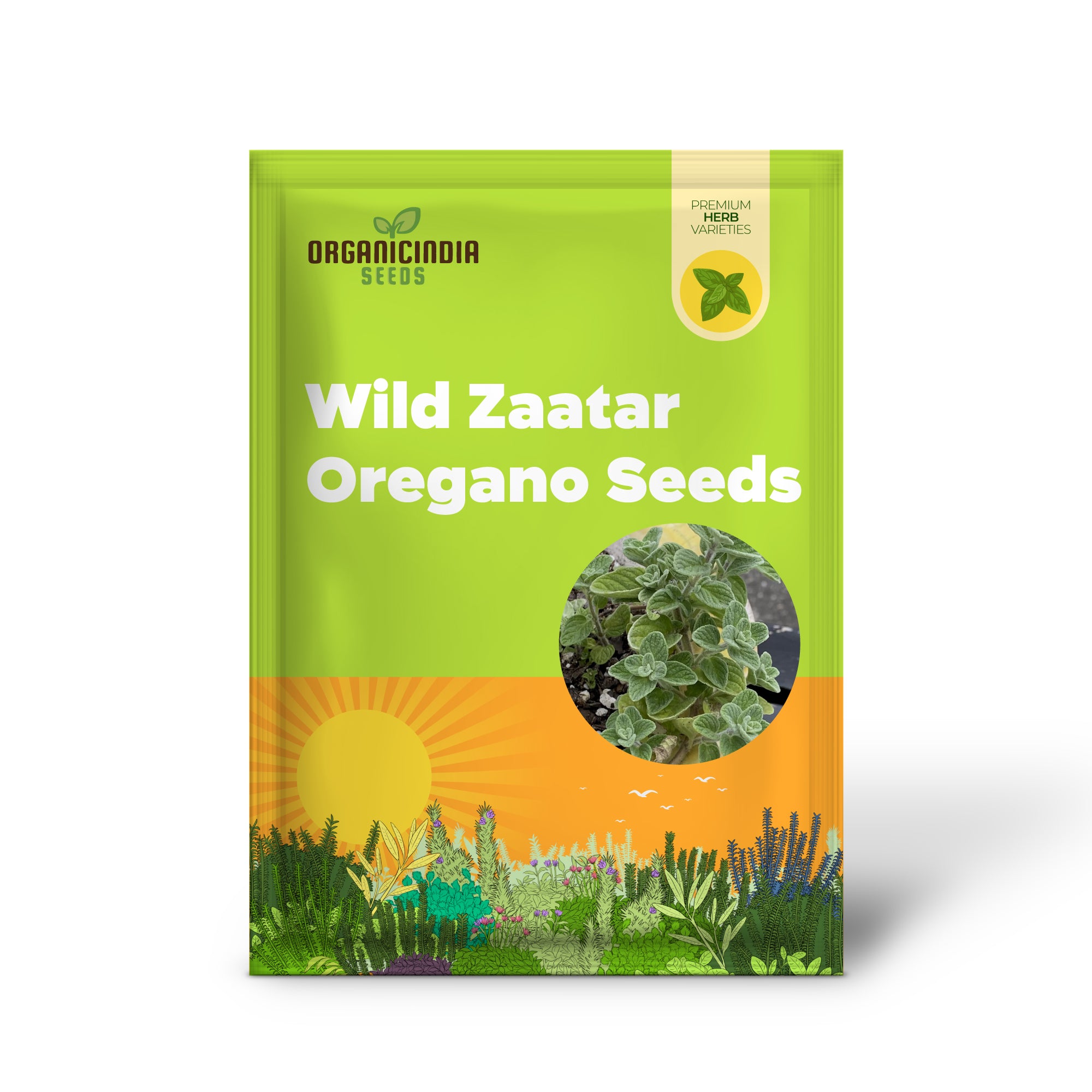 Wild Zaatar Oregano Seeds (Origanum Syriacum) - Lebanese Perennial Herb for Culinary & Garden