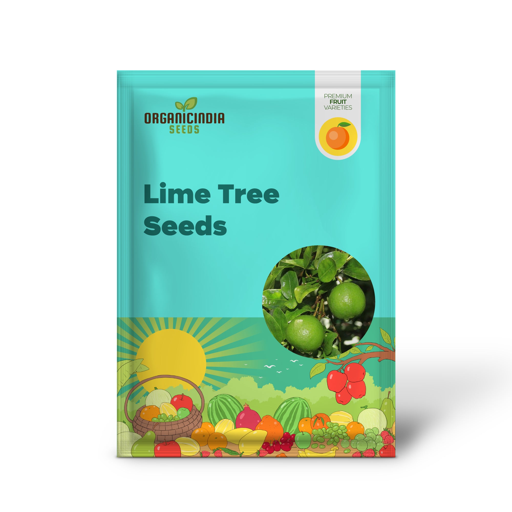 Lime Tree Seeds (Citrus aurantifolia) Packet of 5 Seeds | Grow Your Own Fresh Limes | Tropical Fruit Tree for Home Garden