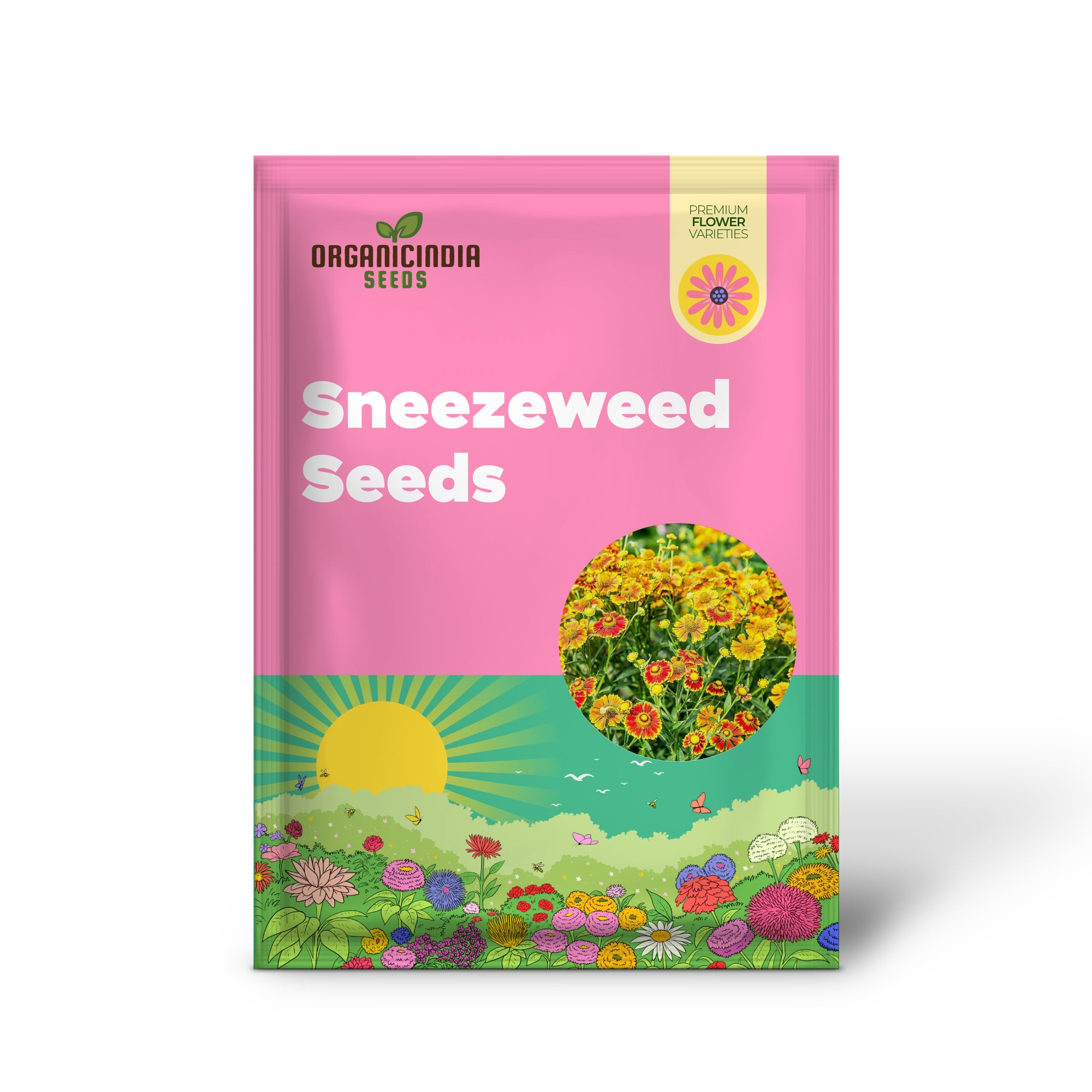 Sneezeweed Seeds - Helen's Flower (Helenium Autumnale), Ornamental, Attracts Butterflies & Pollinators