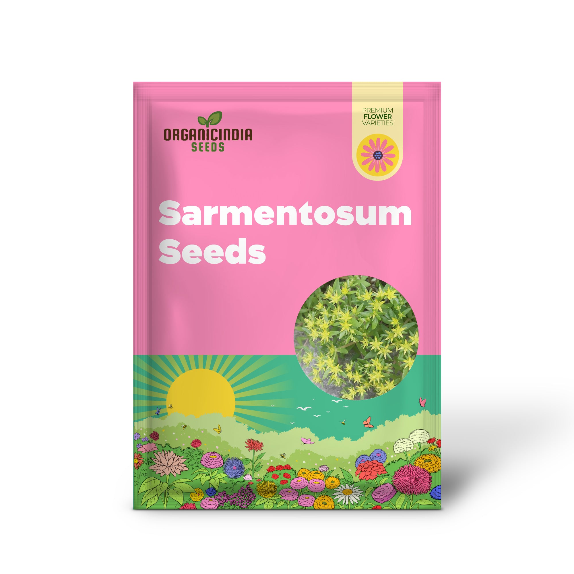 Sedum Sarmentosum Succulent Seeds for Planting - Fast Growing, Easy to Care, Drought Tolerant, Low Maintenance (20 Pieces)