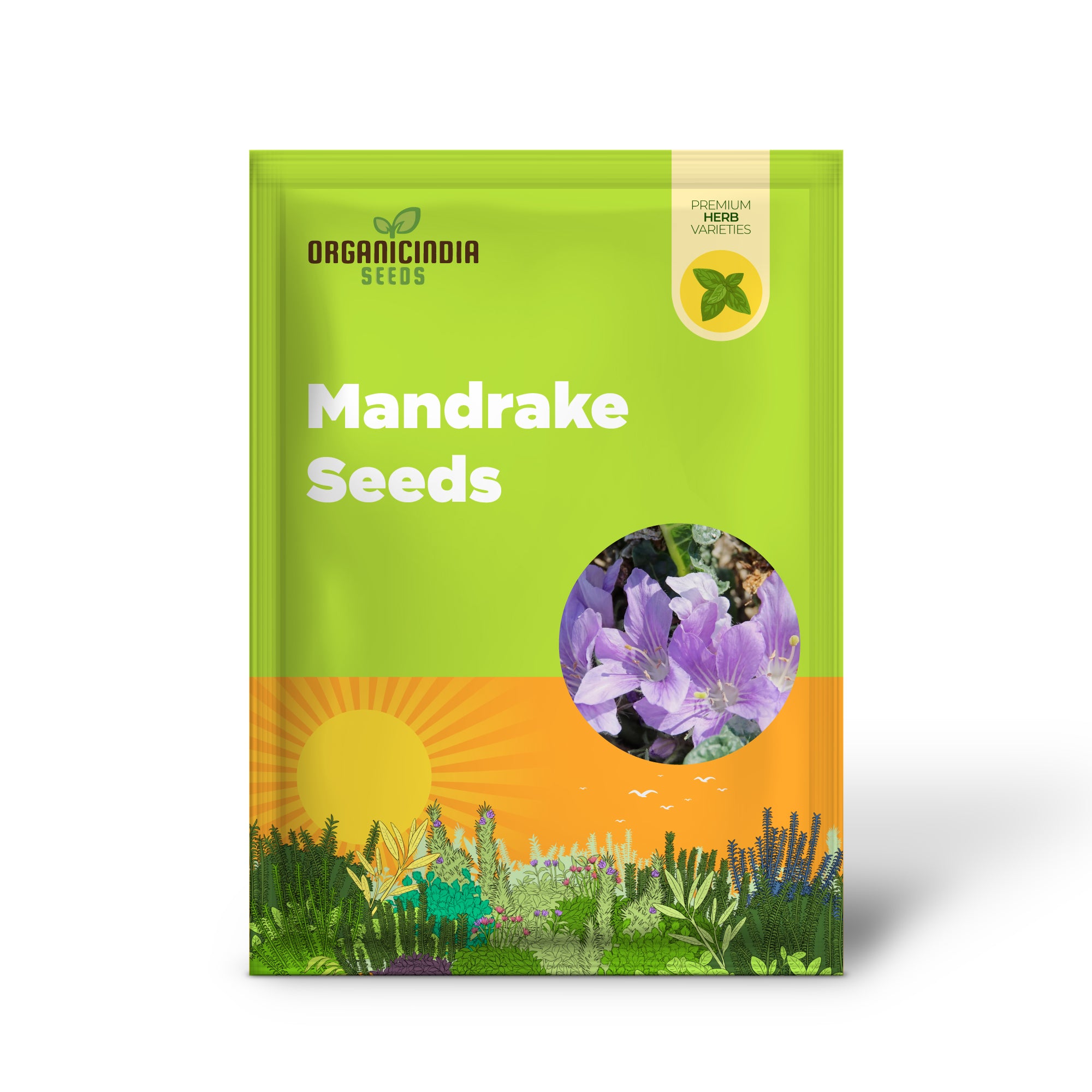 Mandrake Seeds - Mandragora Officinarum Perennial Herb for Fruit & Berries, Ideal for Courtyard and Outdoor Gardens, GMO-Free - 20Pcs