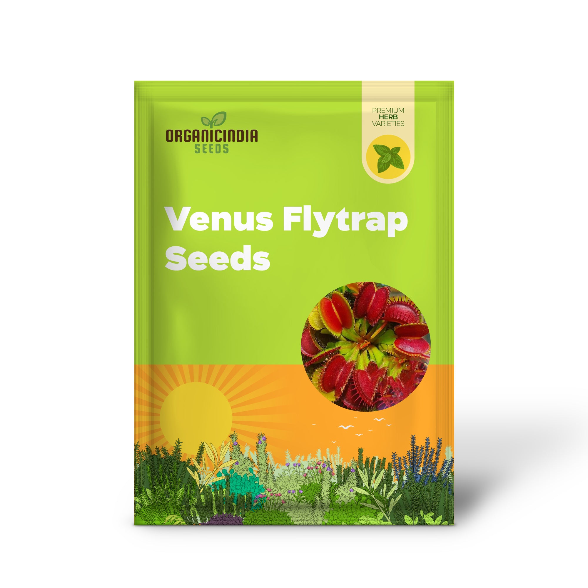 Venusfliegenfalle Samen - 100 Stück, fleischfressende Dionaea muscipula für Garten &amp; Bonsai, volle Sonne, saurer Boden, Dekoration für Haus und Hof