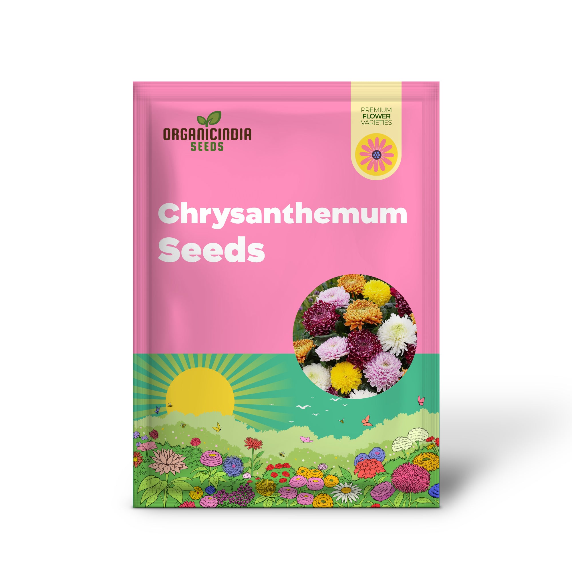 Chrysanthemum Seeds - Colorful & Diverse Flowers | Popular Ornamental Plants for Vibrant Blooms in Gardens, Landscapes & Floral Arrangements  Flower Seeds