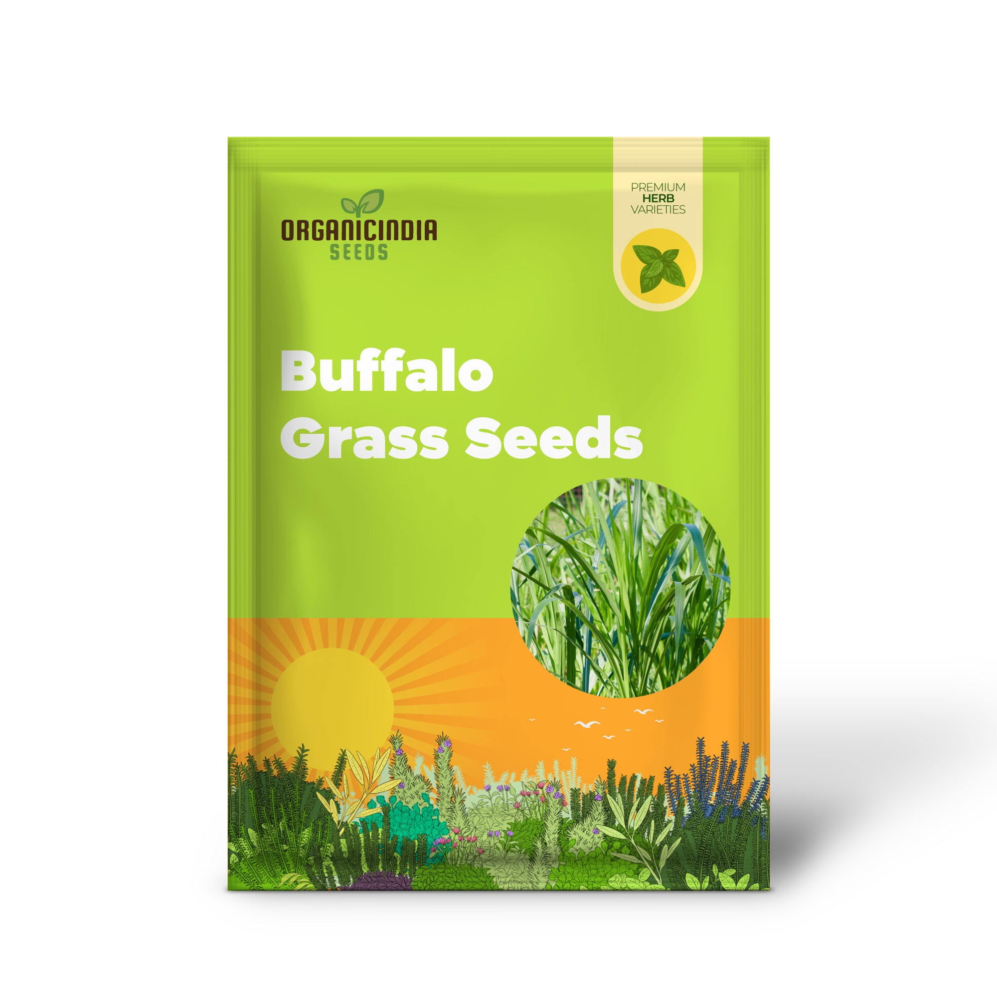 Buffalo Grass Seeds - Bouteloua Dactyloides, Warm-Season Perennial, Low-Growing Dense Turf, Drought Tolerant, Low Maintenance - 1 Oz (15,000 Seeds)