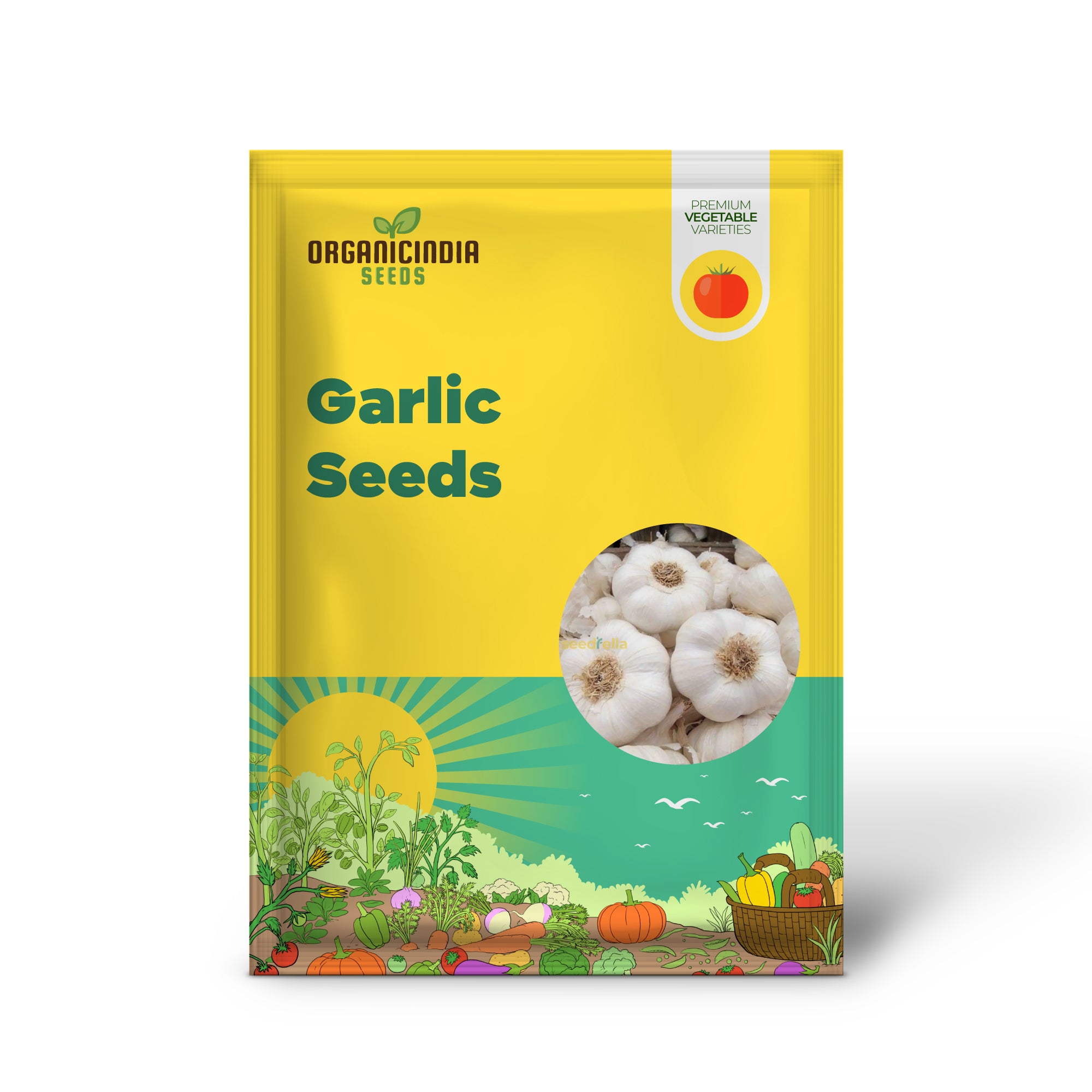 White Garlic Seeds for Planting, Premium Quality Garlic Bulbs for High-Yield Gardens