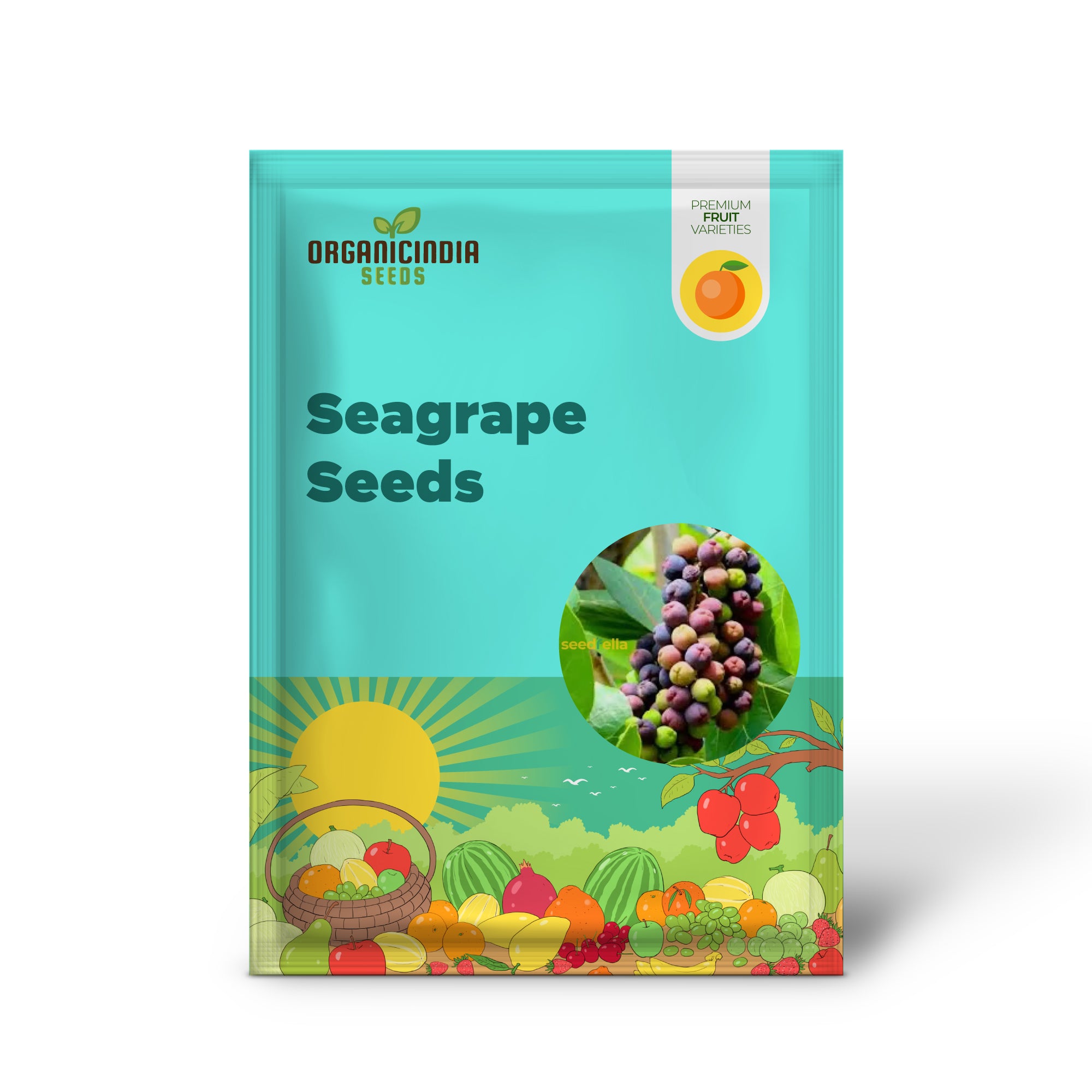 Seagrape Seeds for Easy Planting Grow Your Own Seagrape Fruit