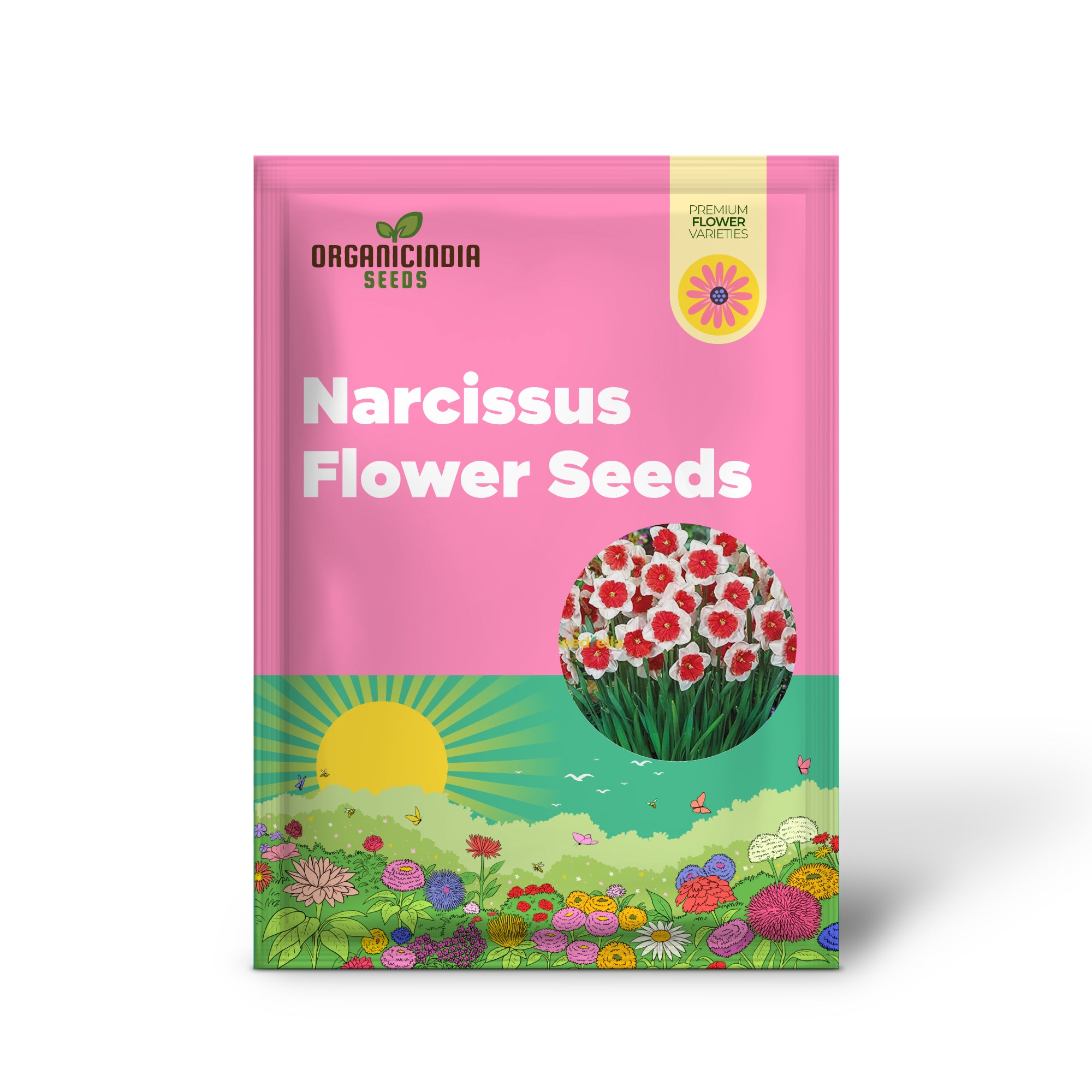 Narcissus White Red Seeds for Planting - Grow Elegant, Striking Flower Blooms in Your Garden