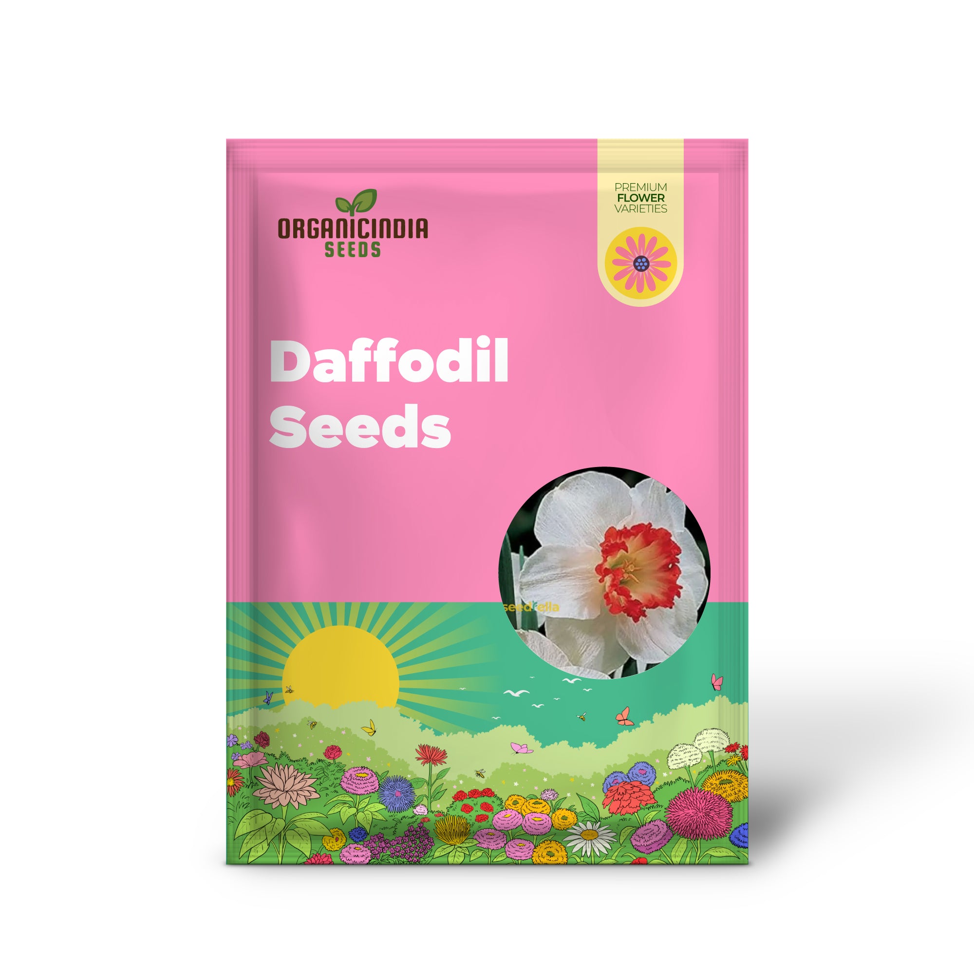 Daffodil Seeds for Planting - White and Red Blooms for a Vibrant Garden