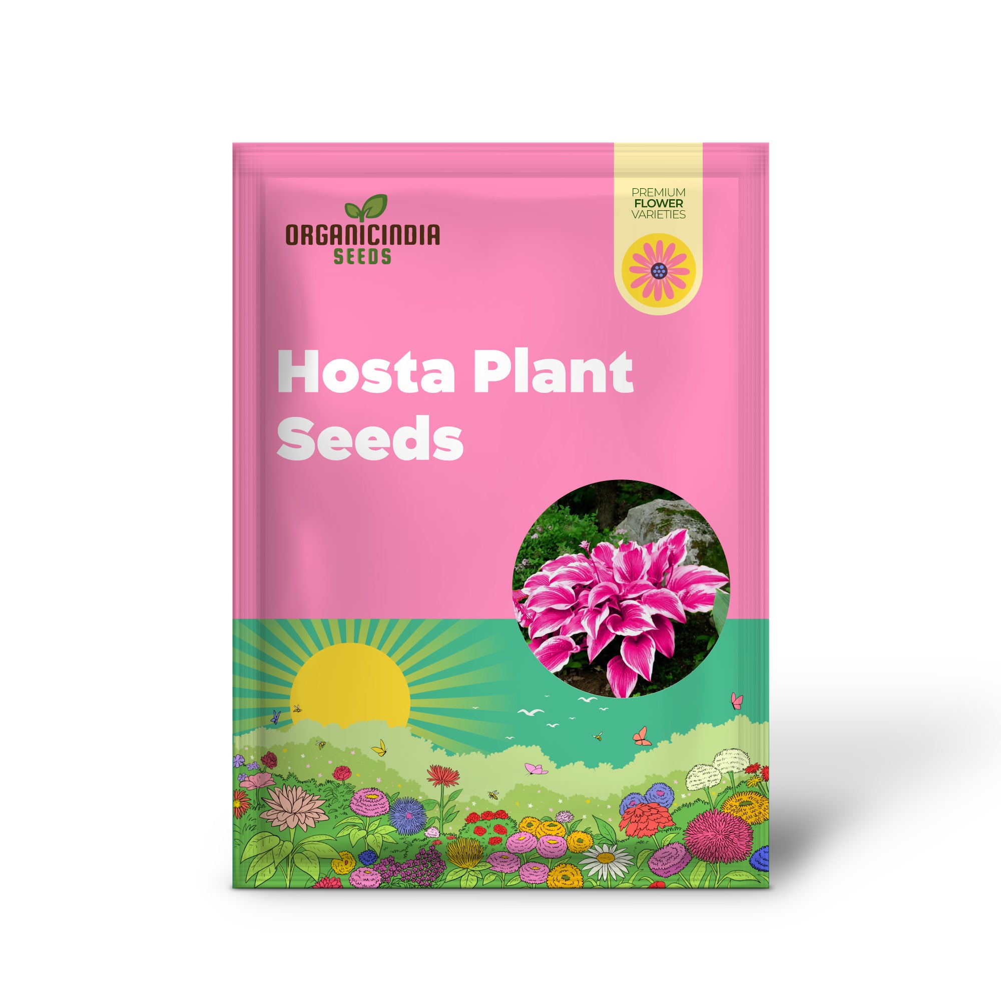 Pink Hosta Seeds - Perennial Bonsai for Indoor & Outdoor Gardens, Pollinator-Friendly