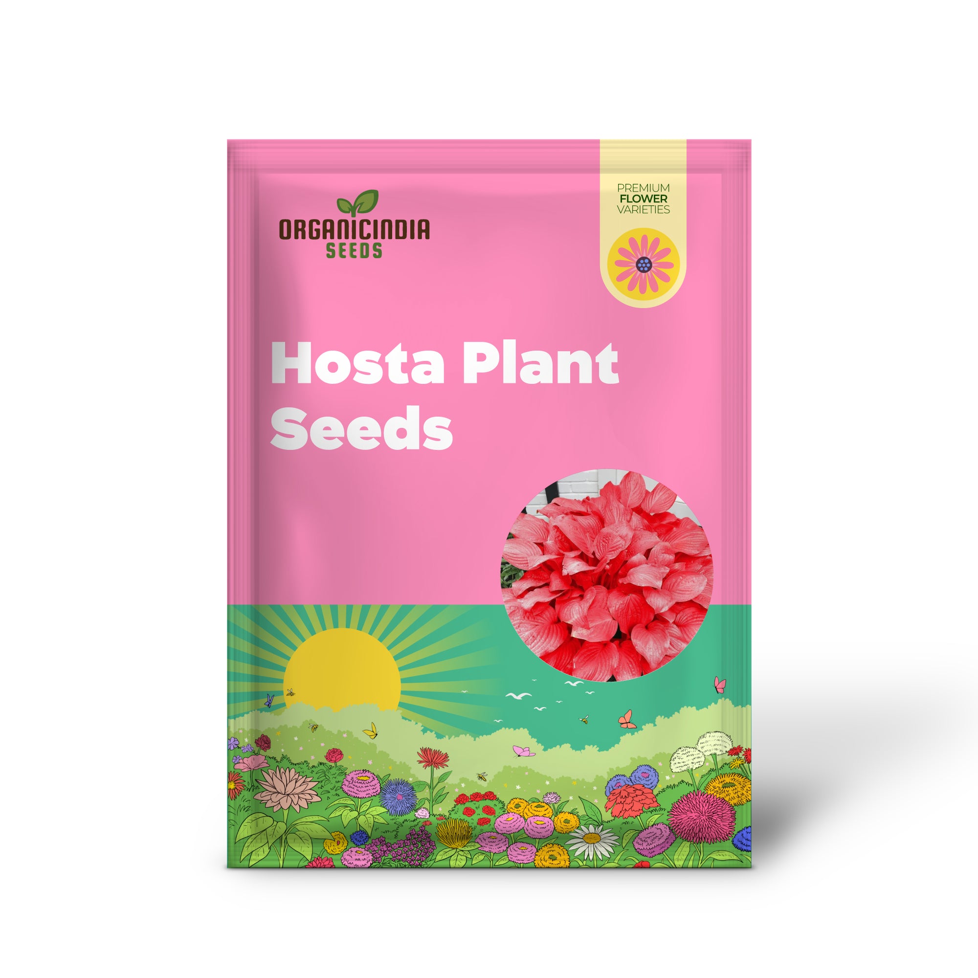 Red Hosta Seeds - Perennial Shade-Loving Plants for Indoor & Outdoor Gardens, Pollinator-Friendly & Low Maintenance