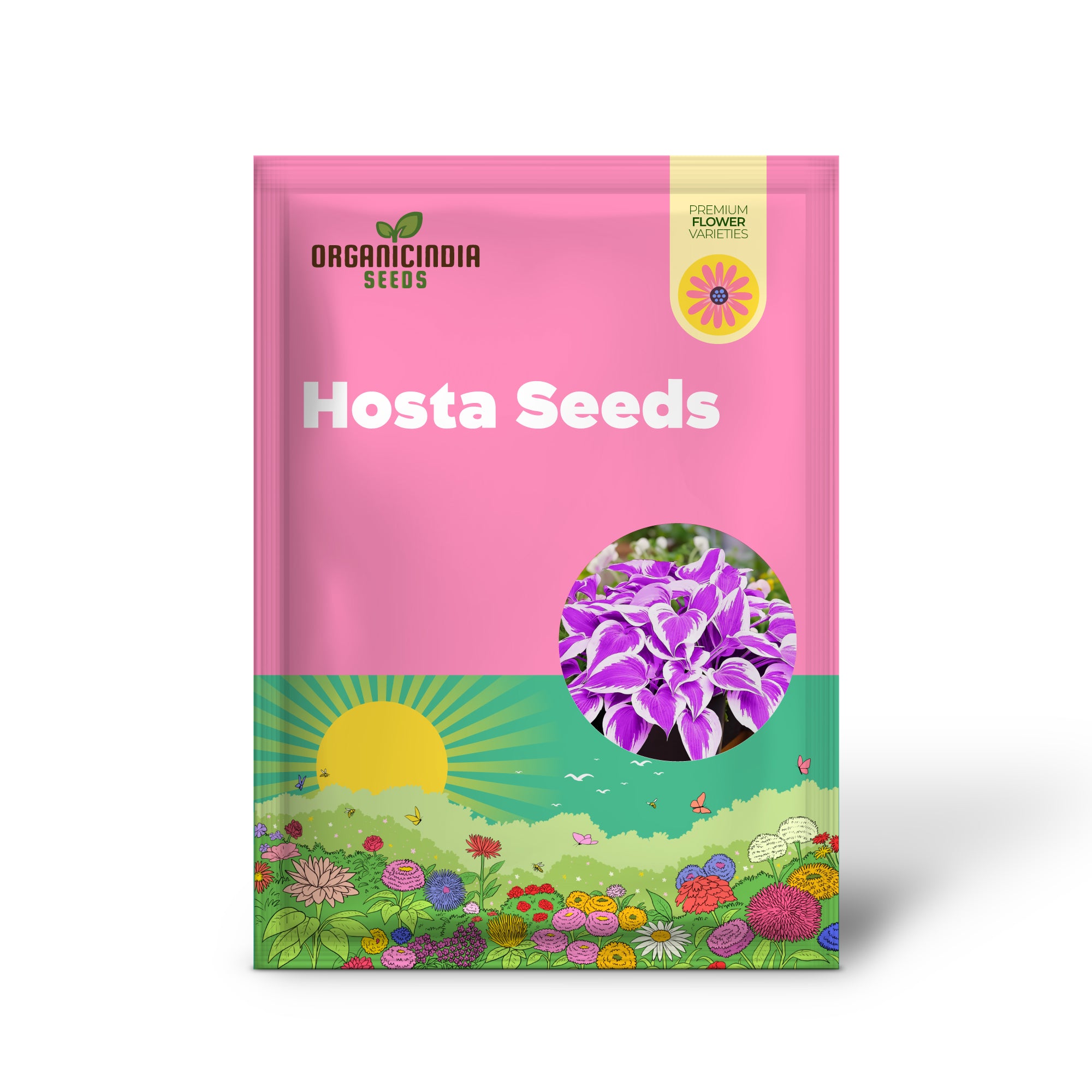 Purple Hosta Seeds - Perennial Hosta Plants for Outdoor Gardens - Low Maintenance & Easy to Grow