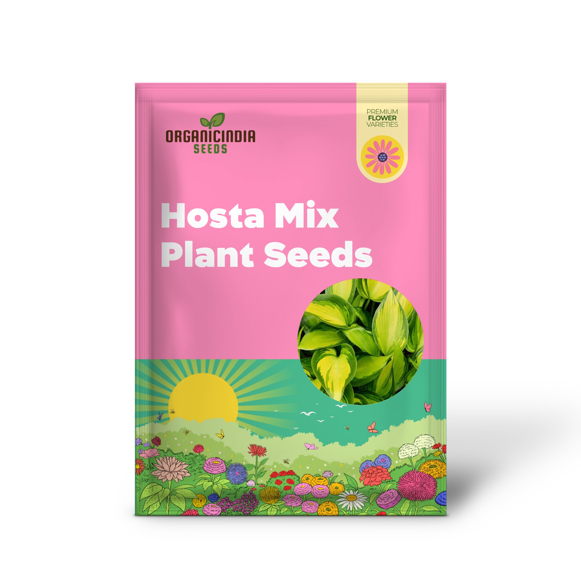 Mixed Color Hosta Seeds – Non-GMO, Easy-Care Perennial for Potted & Garden Plants