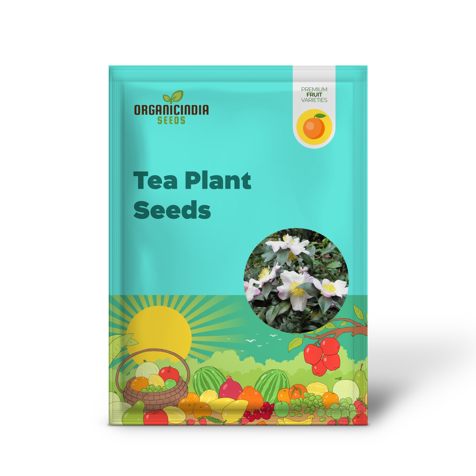 Tea Plant Seeds