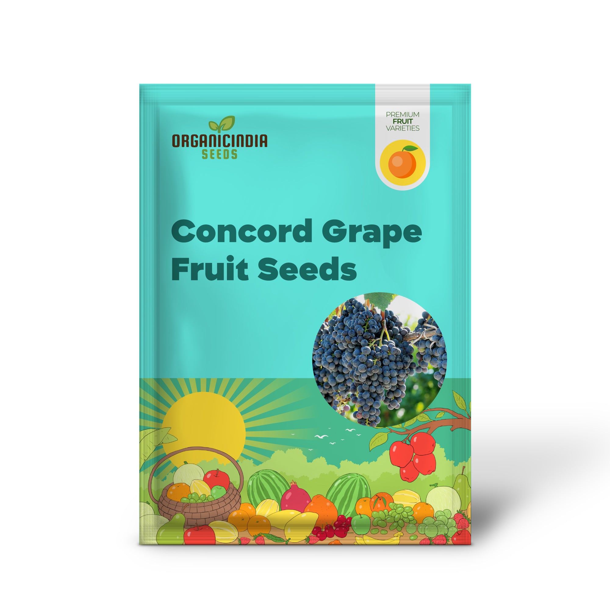 Purple Concord Grape Fruit Seeds