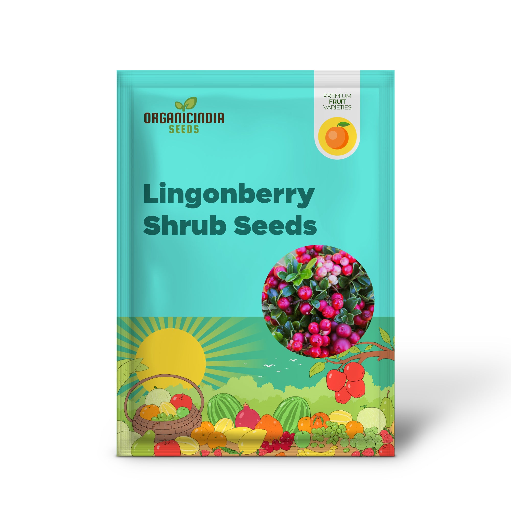 Lingonberry Shrub Seeds