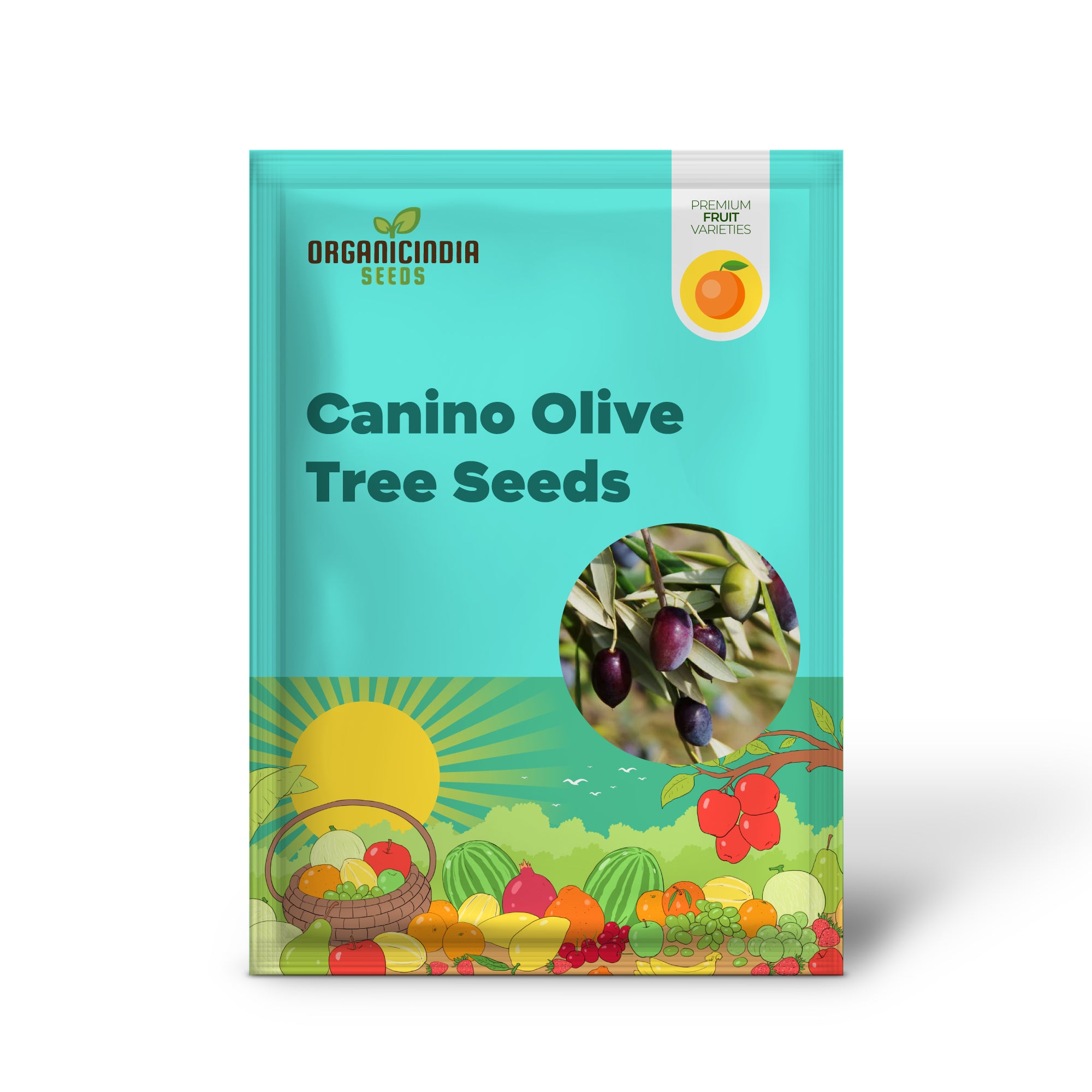 Canino Olive Tree Seeds