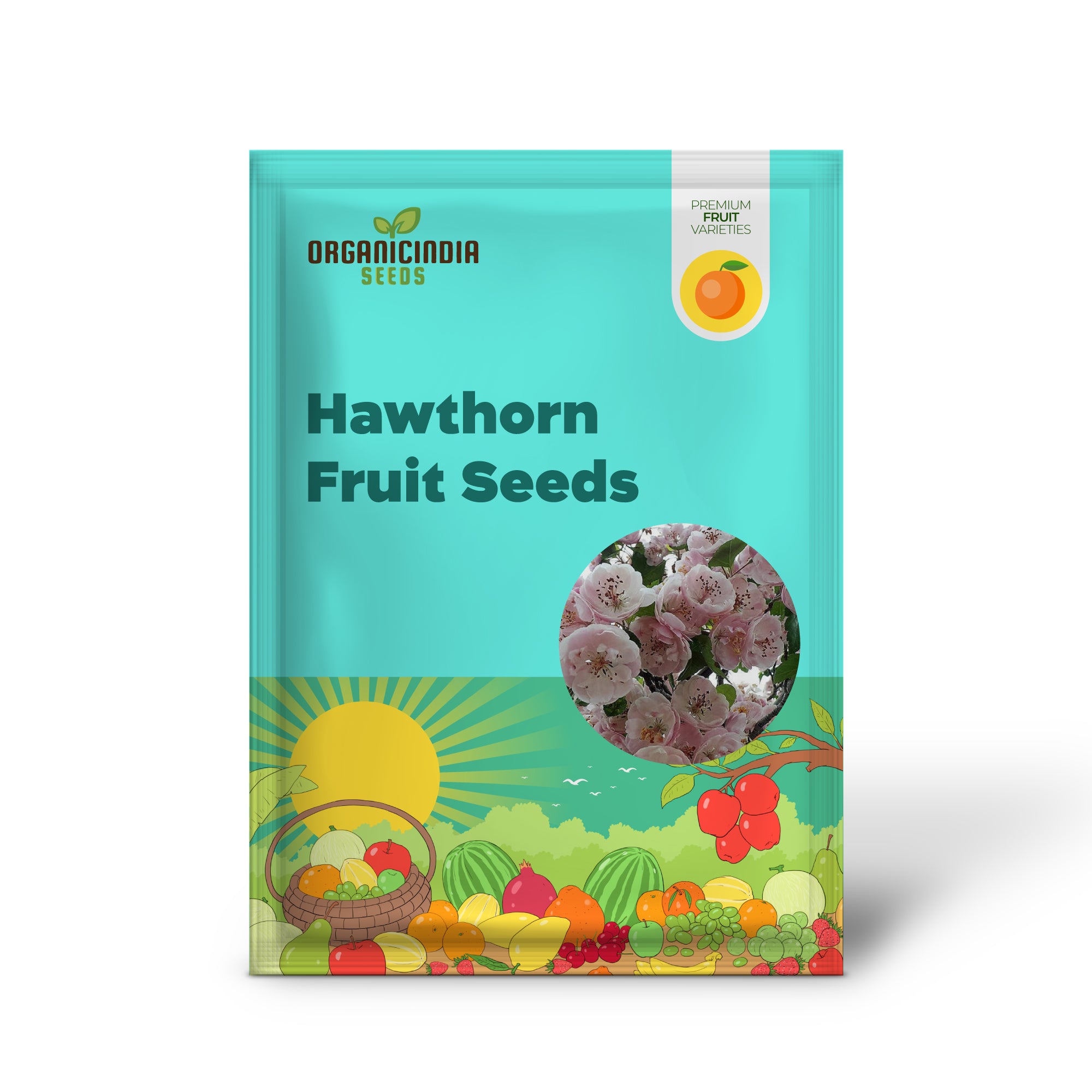 English Hawthorn Fruit Seeds