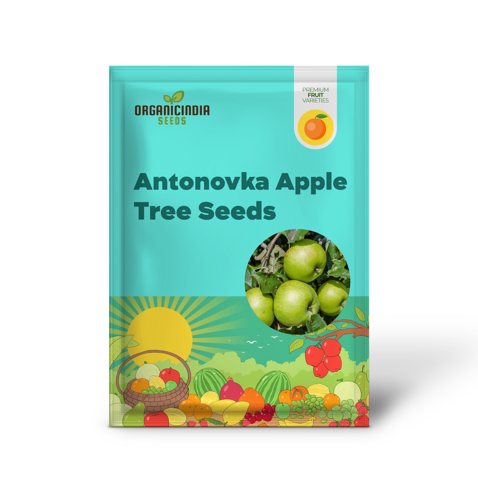 Antonovka Apple Tree Seeds