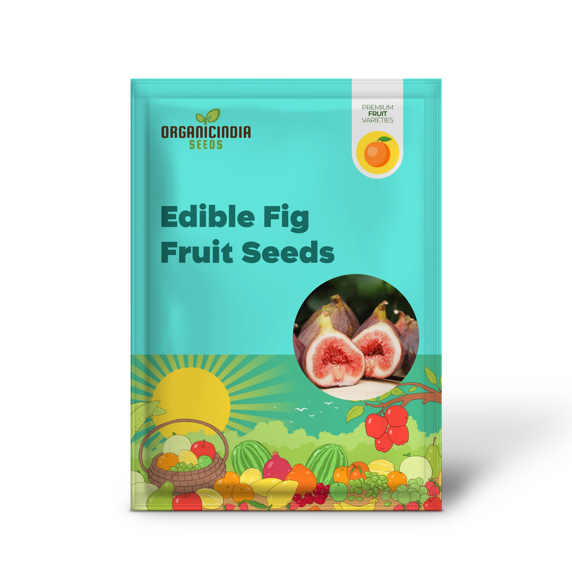 Common Edible Fig Fruit Seeds