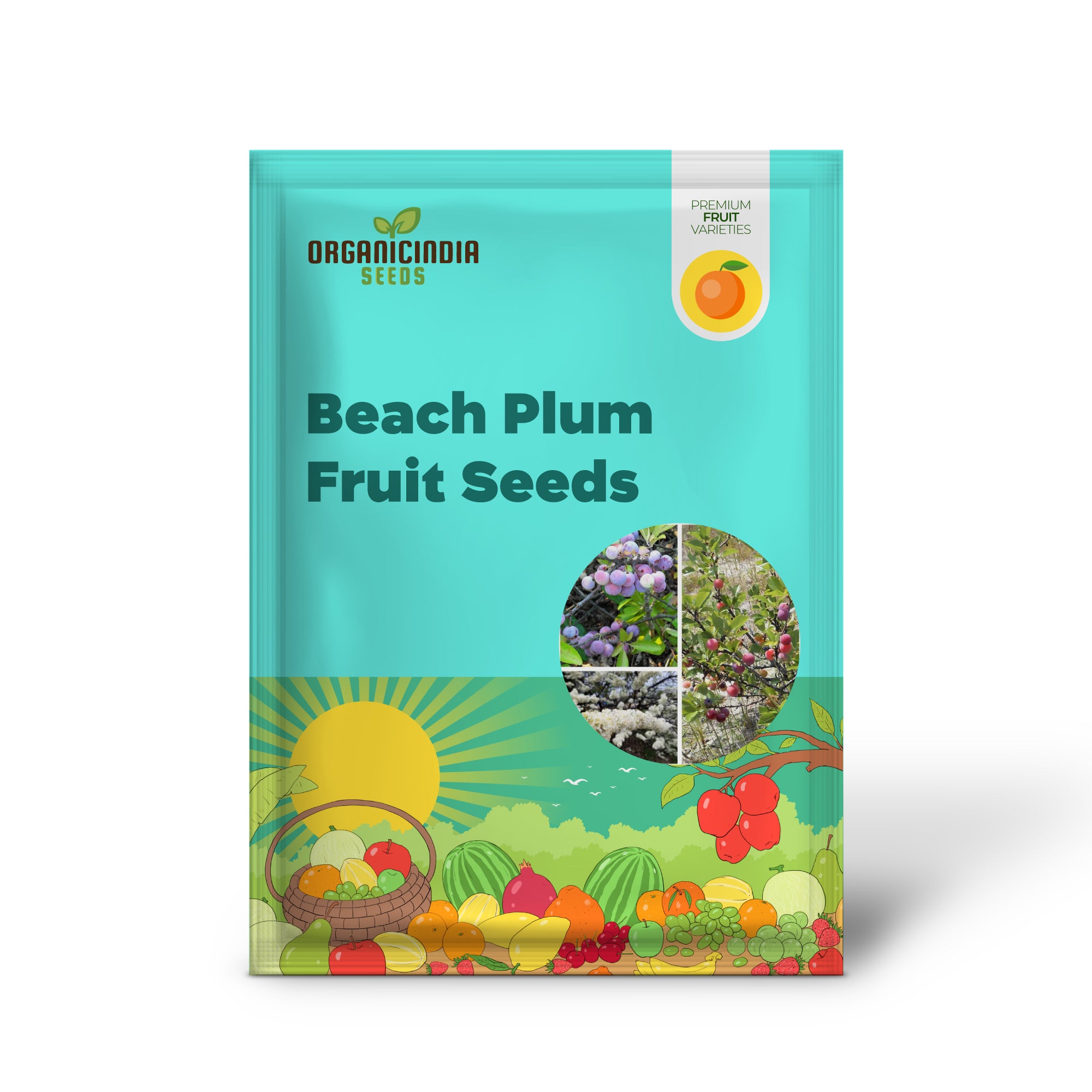 Beach Plum Fruit Seeds