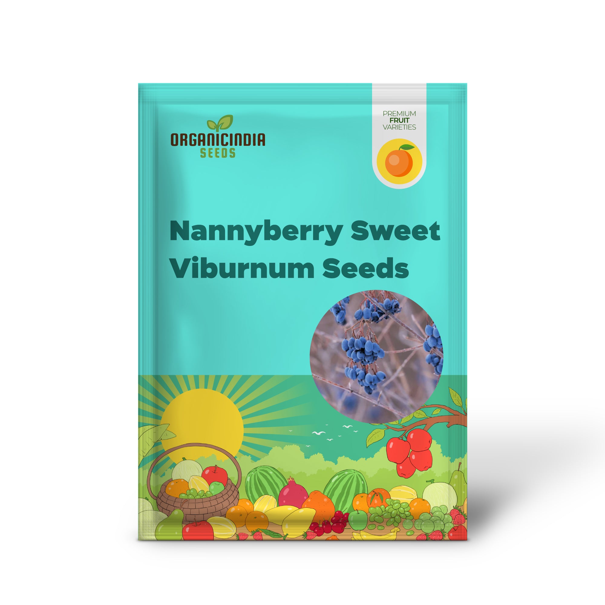 Nannyberry Sweet Viburnum Seeds