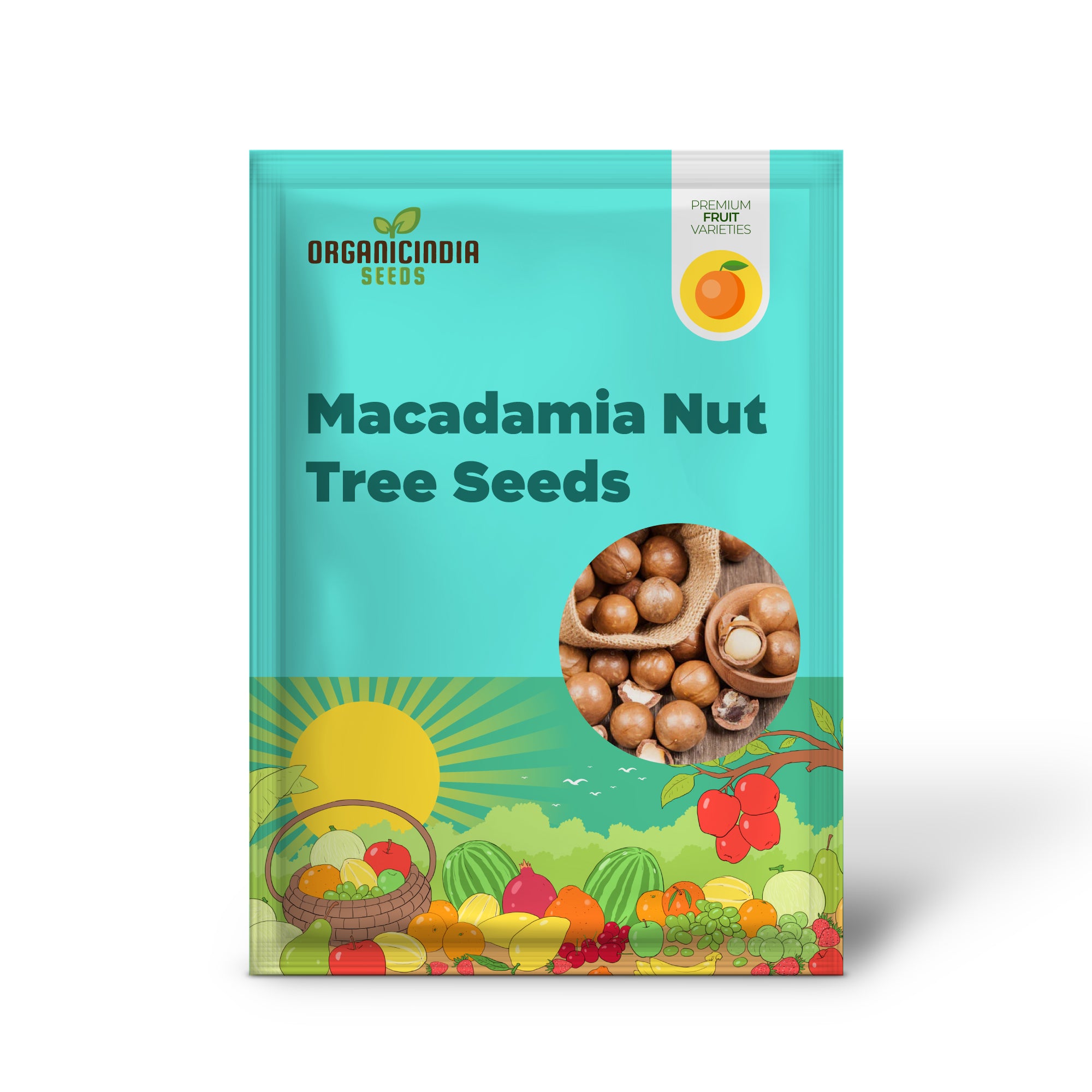 Macadamia Nut Tree Seeds