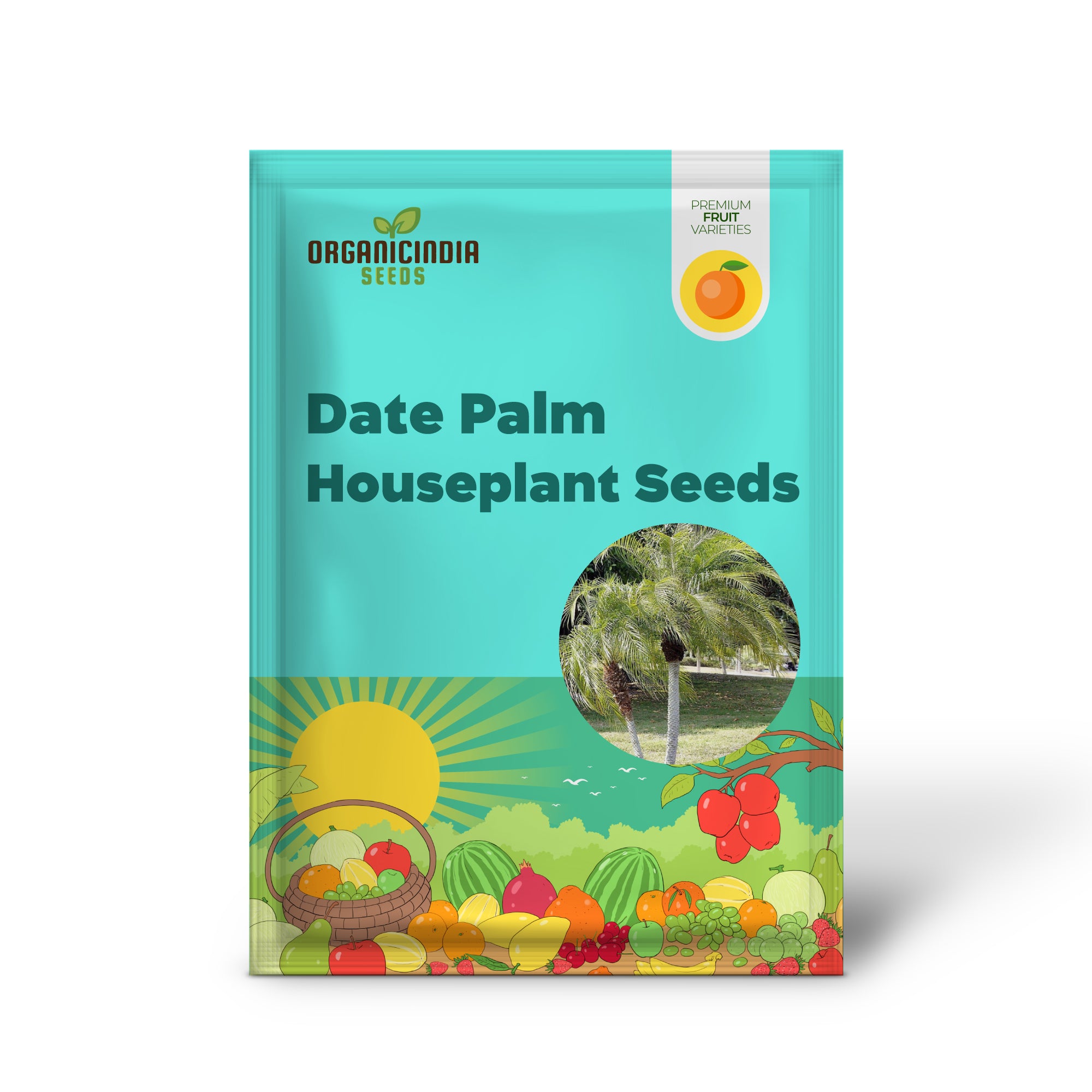 Pygmy Date Palm House Plant Seeds