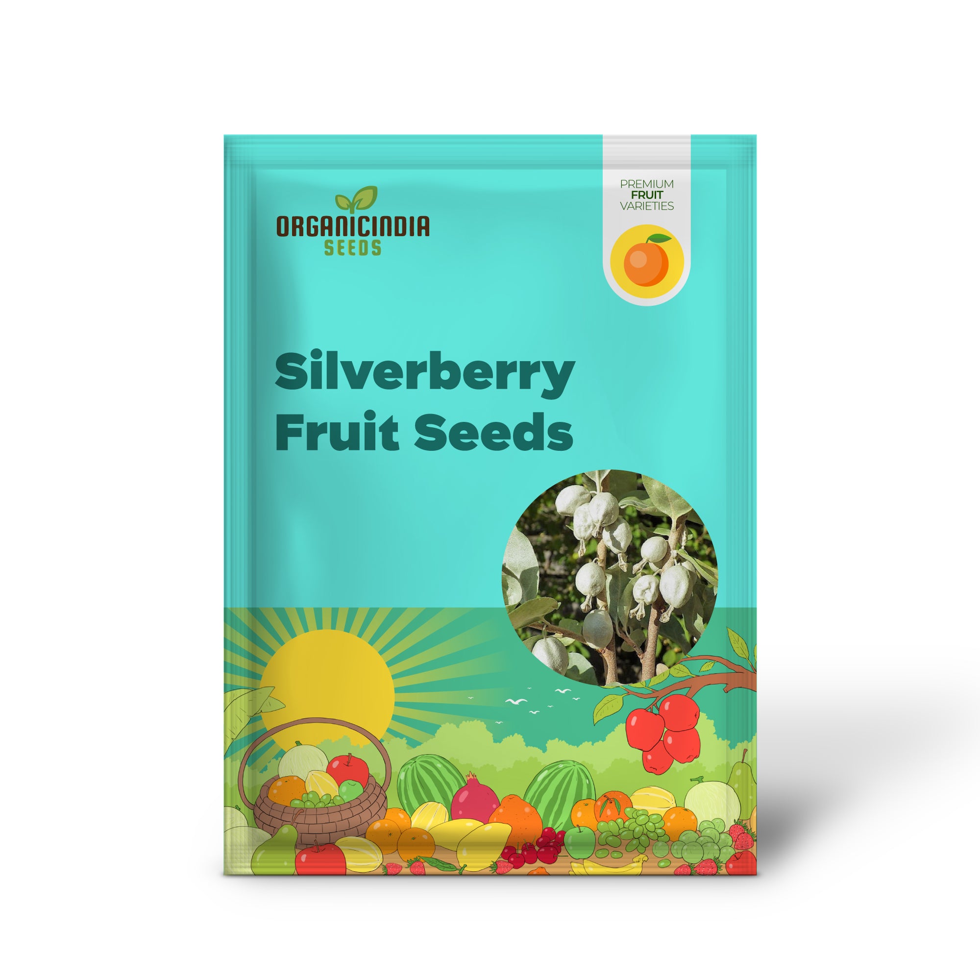 American Silverberry Fruit Seeds