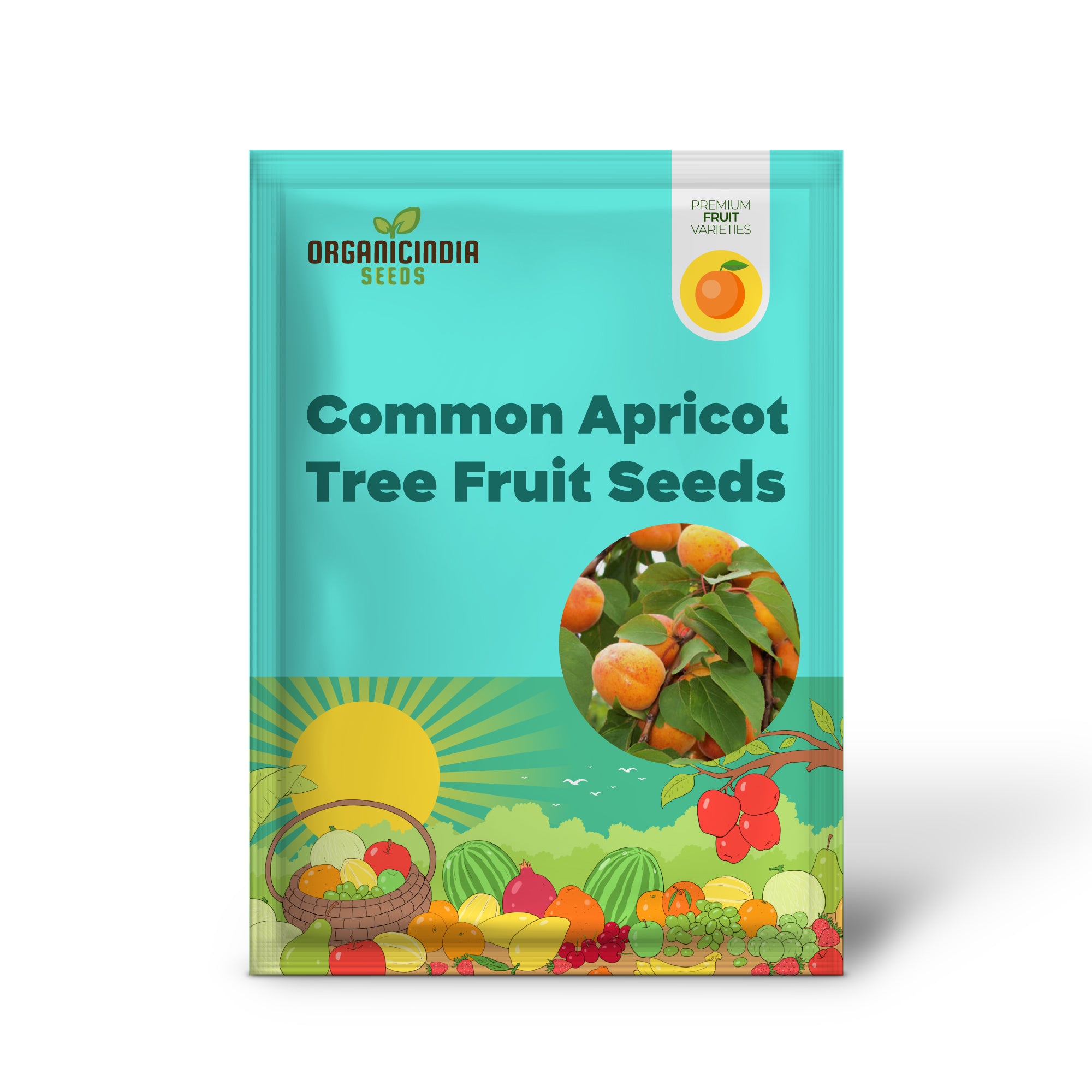 Common Apricot Tree Fruit Seeds