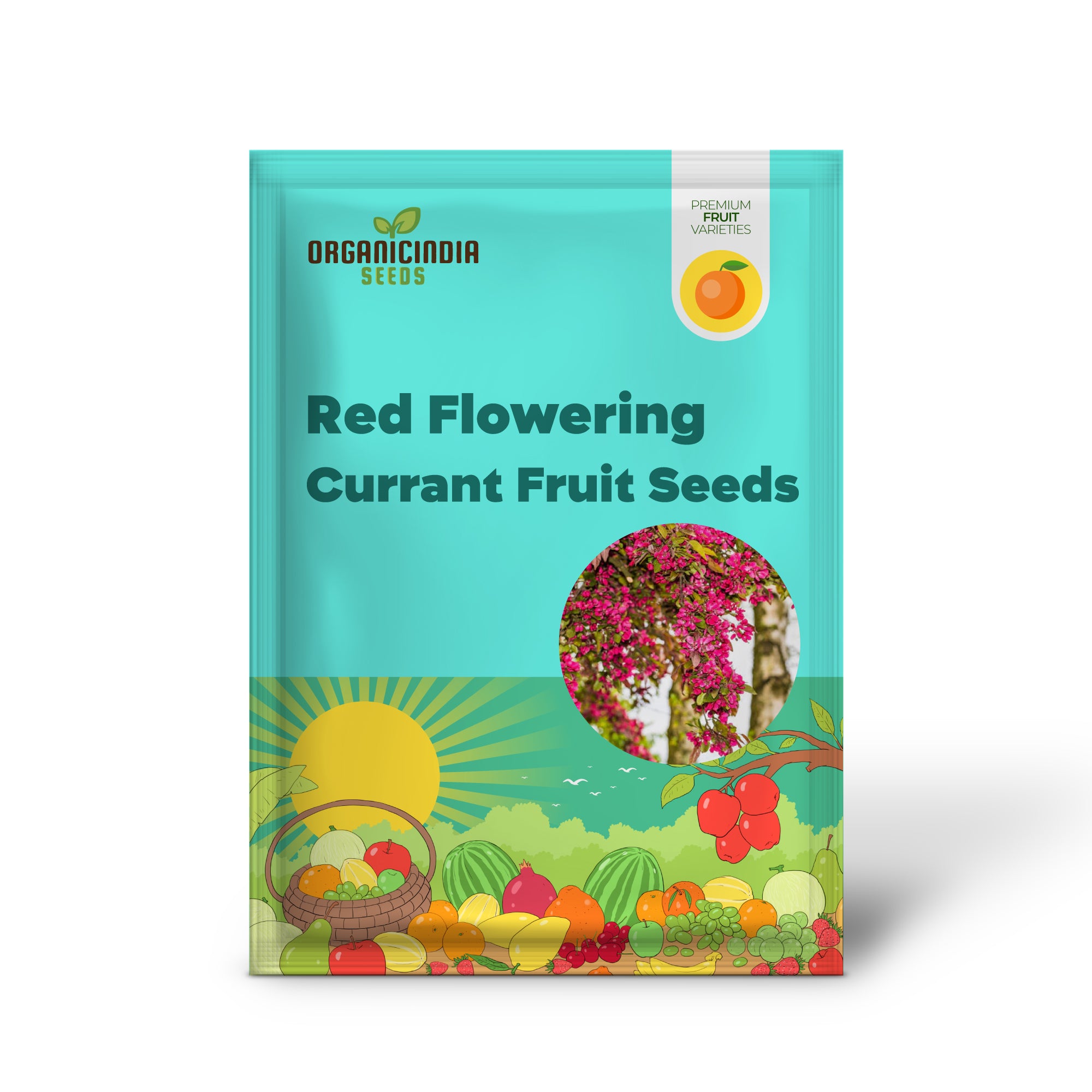 Red Flowering Currant Fruit Seeds