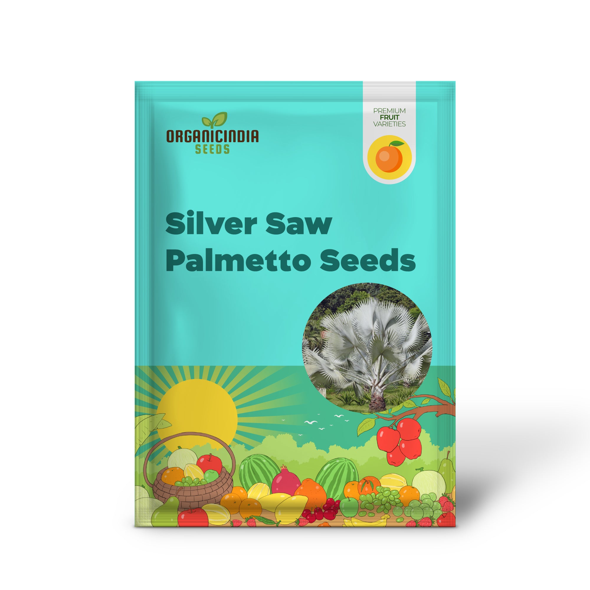 Silver Saw Palmetto Tree Seeds