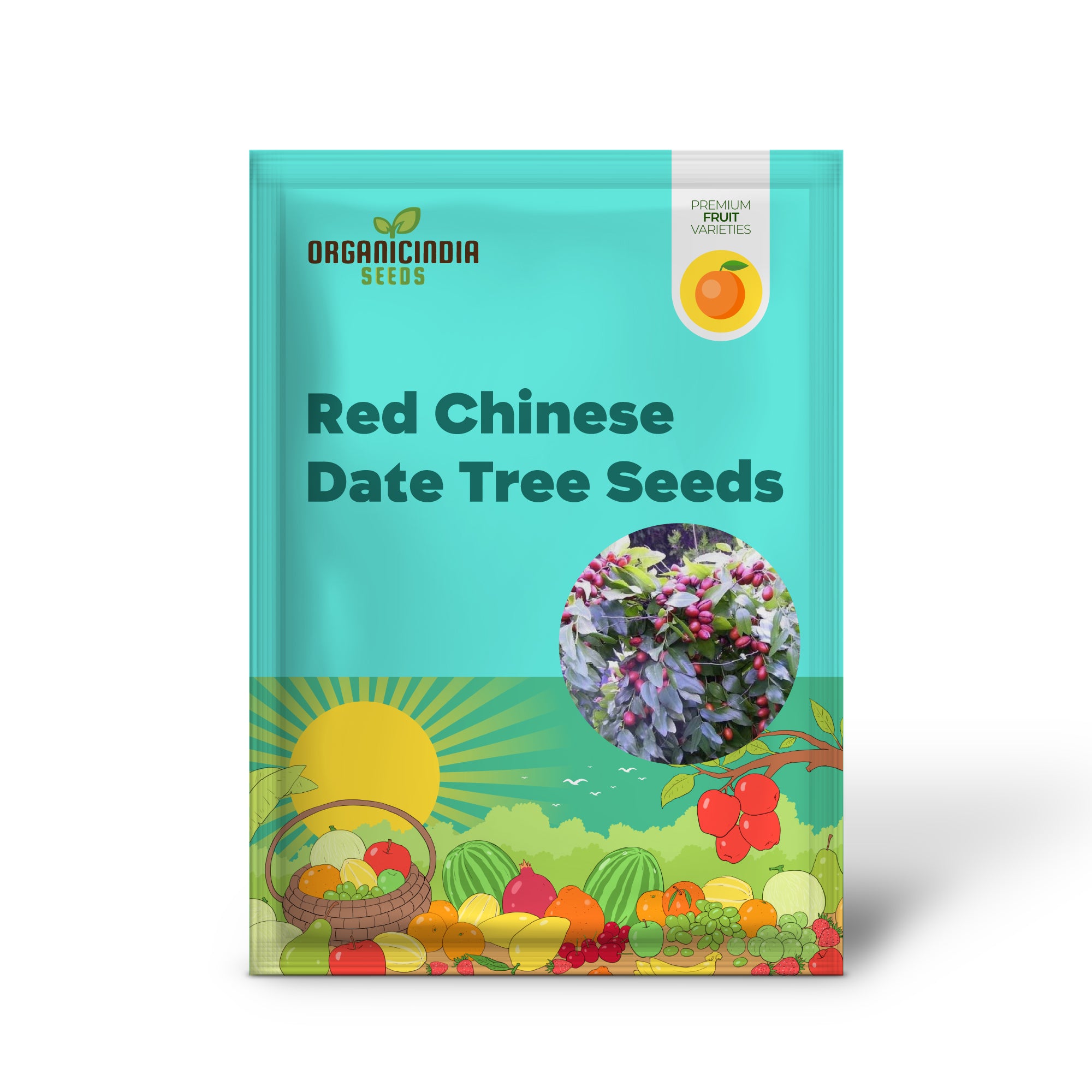 Red Chinese Date Tree Seeds