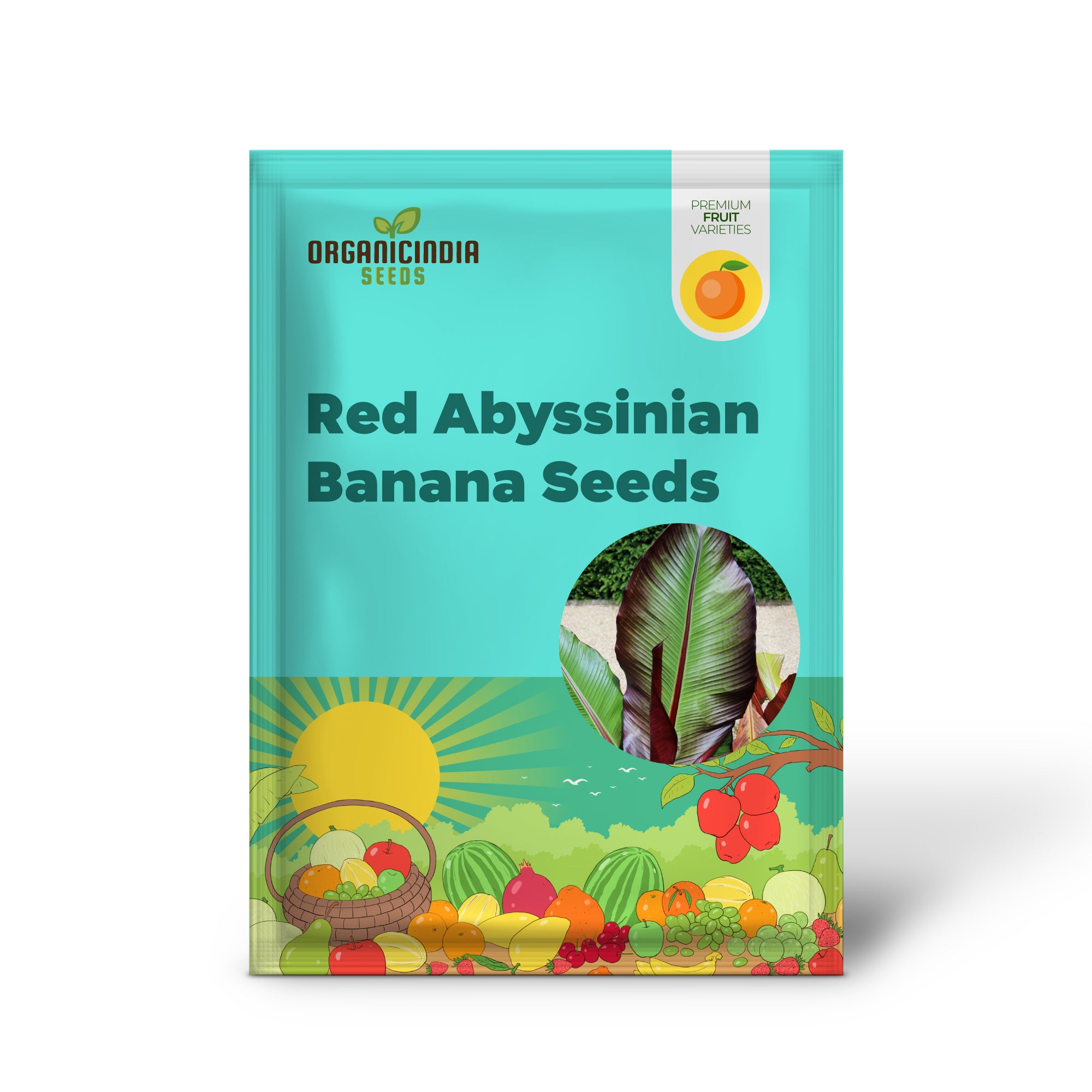 Red Abyssinian Banana Seeds