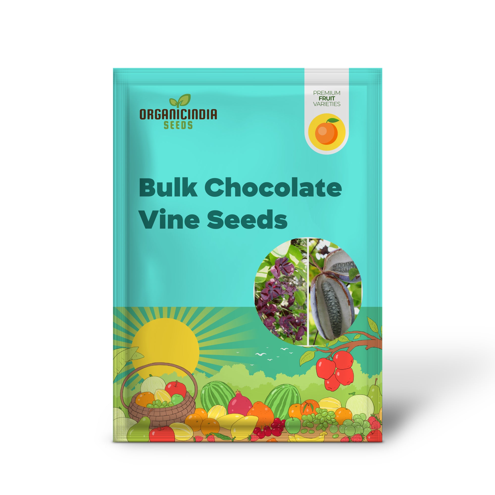 Bulk Chocolate Vine Seeds