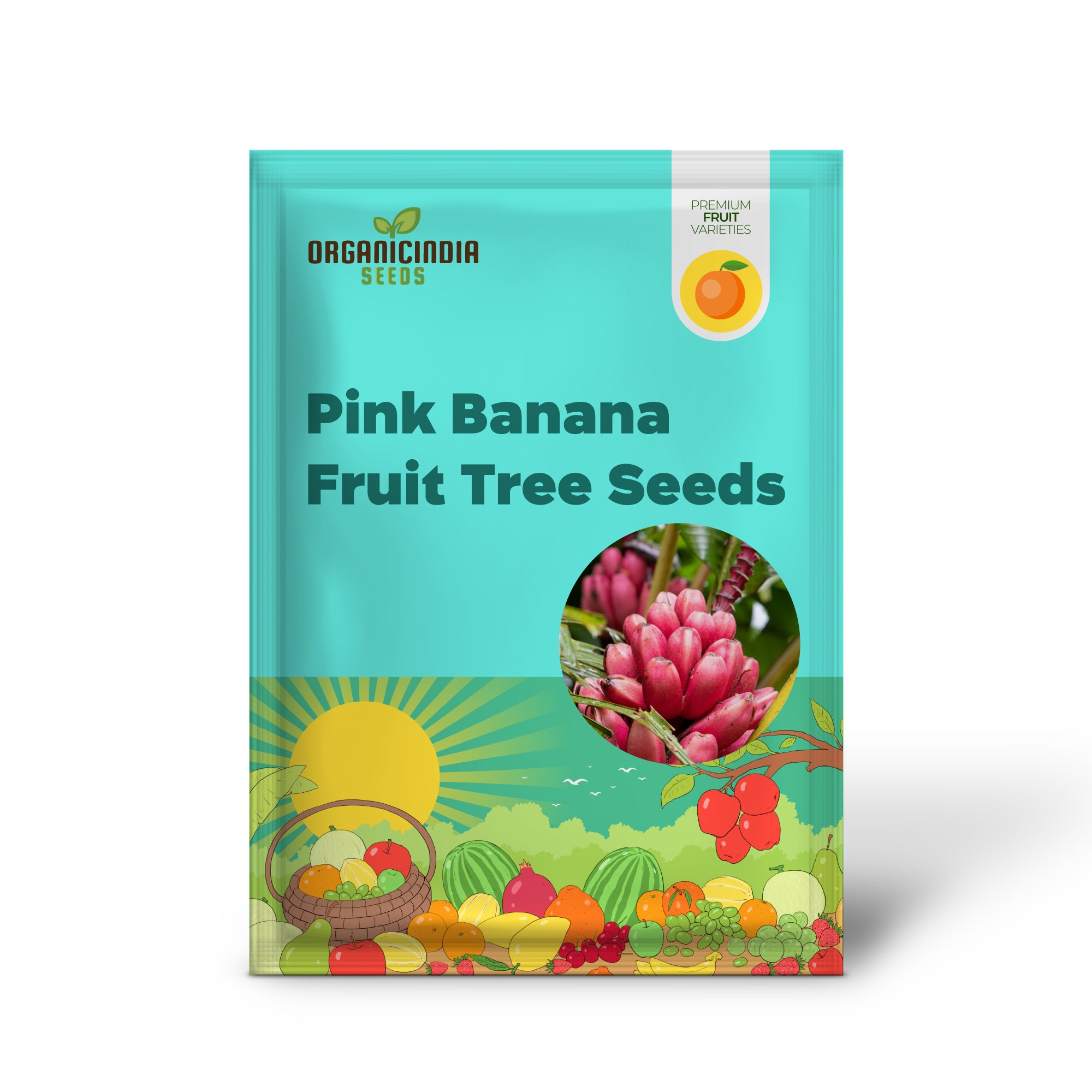 Dwarf Pink Banana Fruit Tree Seeds